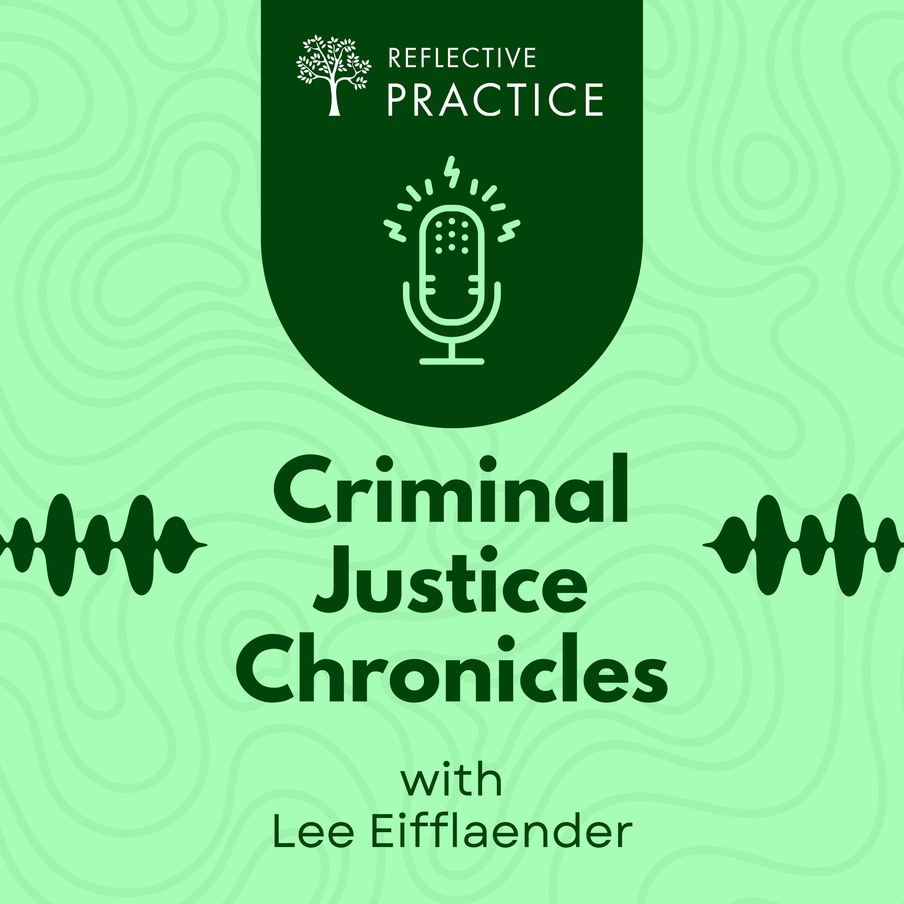 Reflective Practice: The Criminal Justice Chronicles