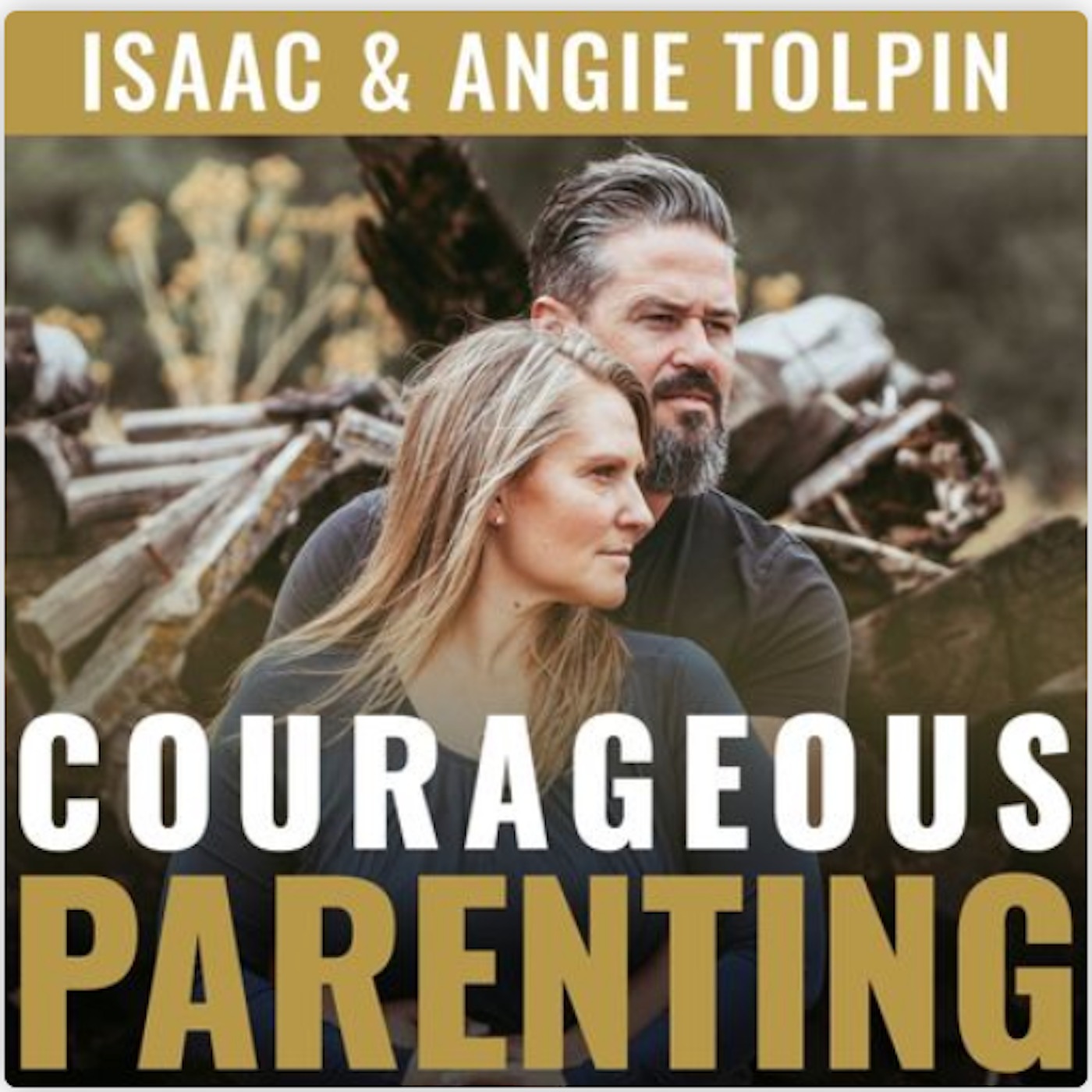 Play Courageous Parenting: The Younger Years