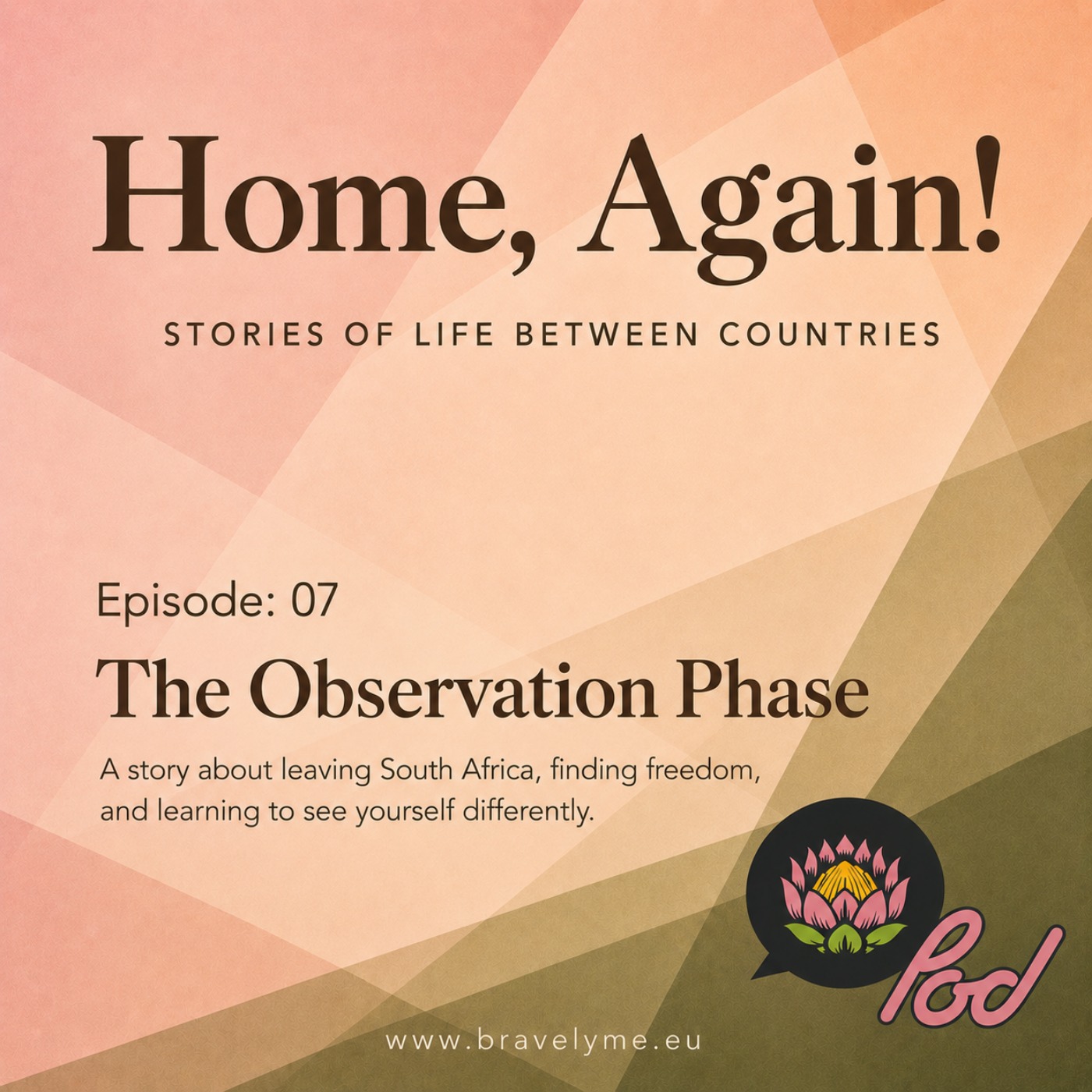 07. The Observation Phase episode artwork