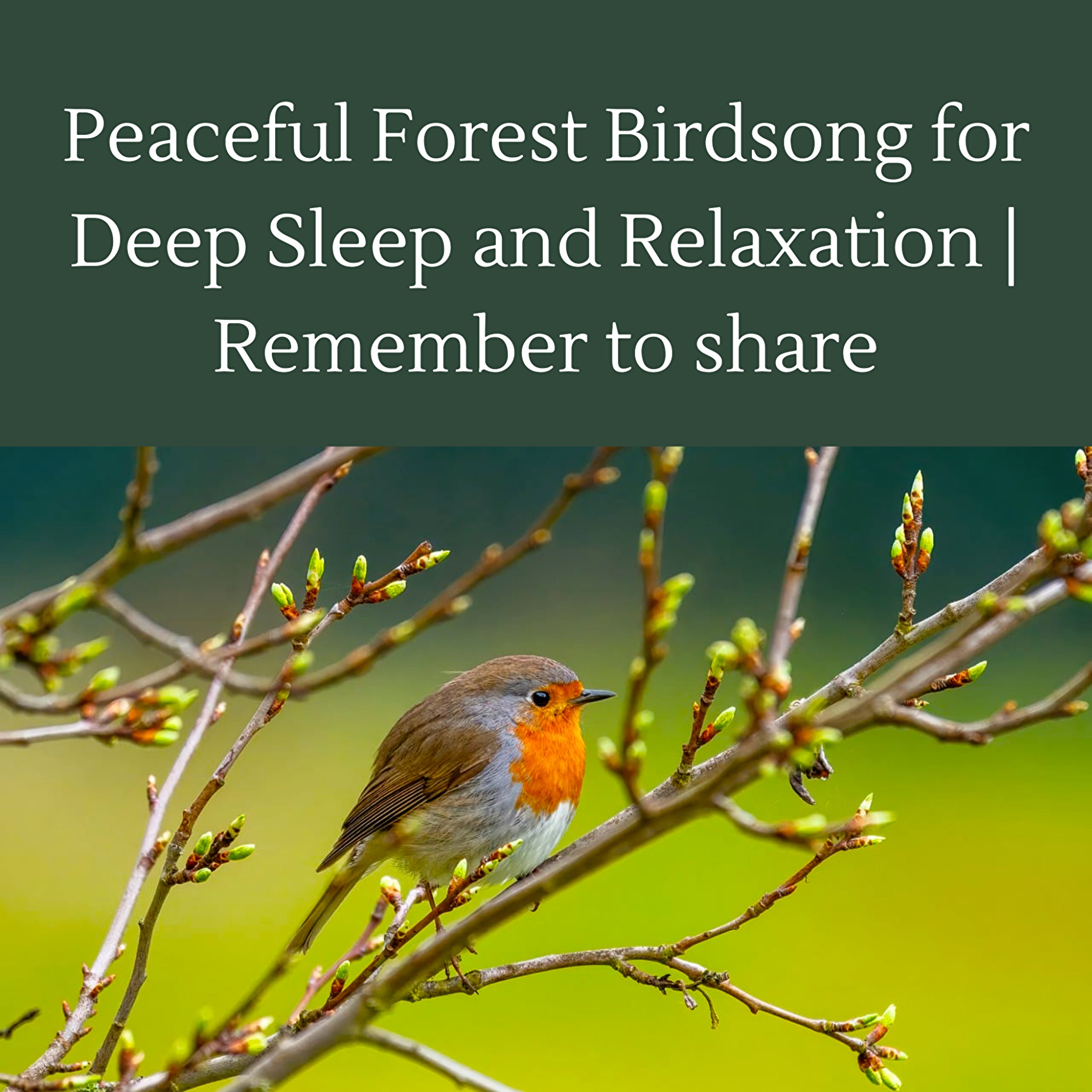 Meditation podcast | Relax Zone