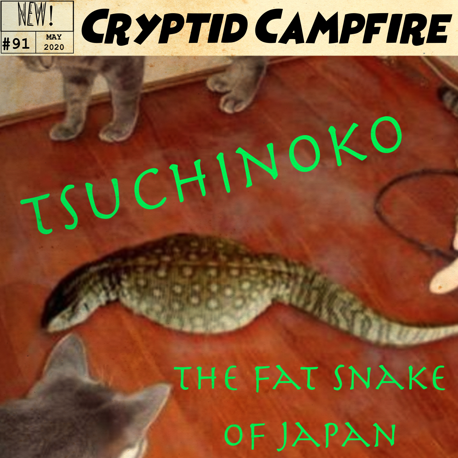 91. Tsuchinoko episode artwork