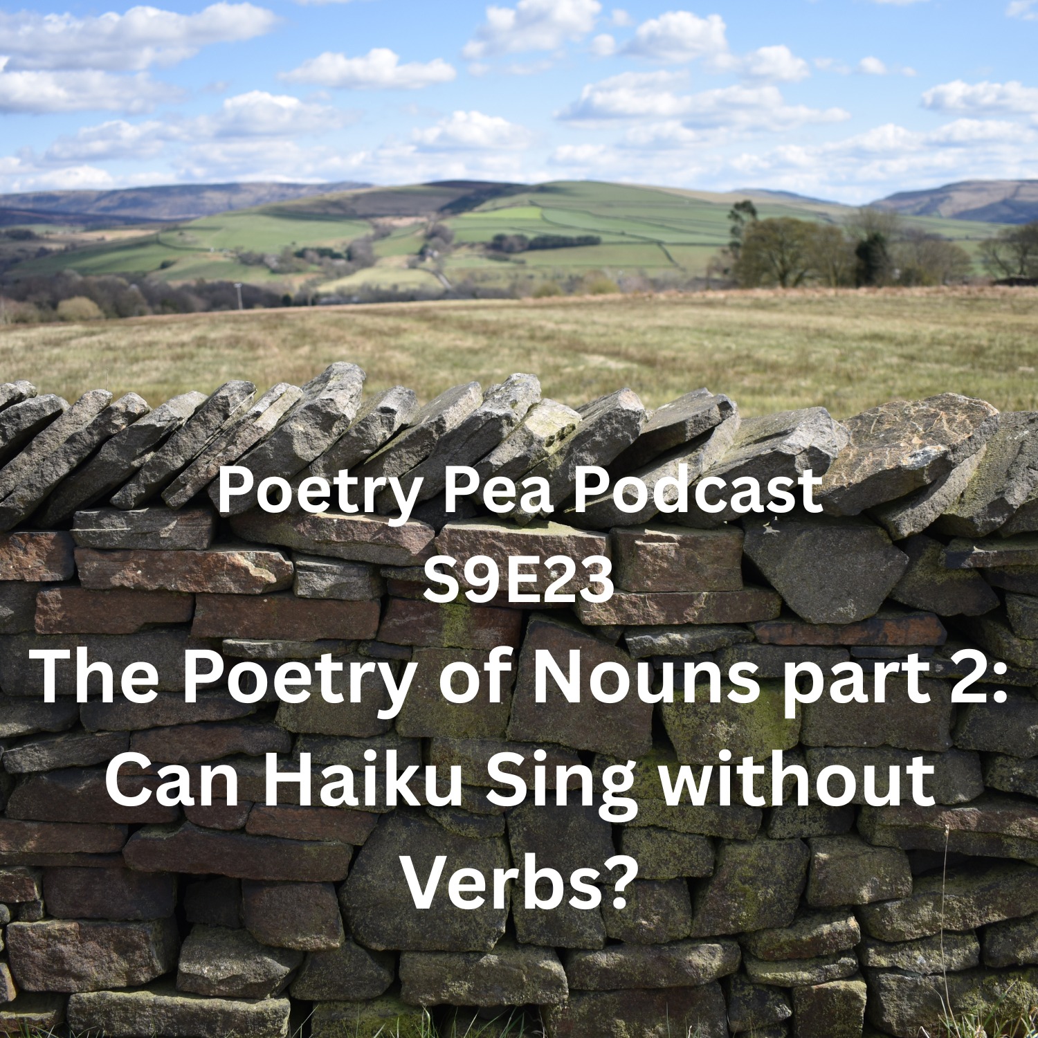 S9E23 The Poetry of Nouns part 2: Can Haiku Sing without Verbs?