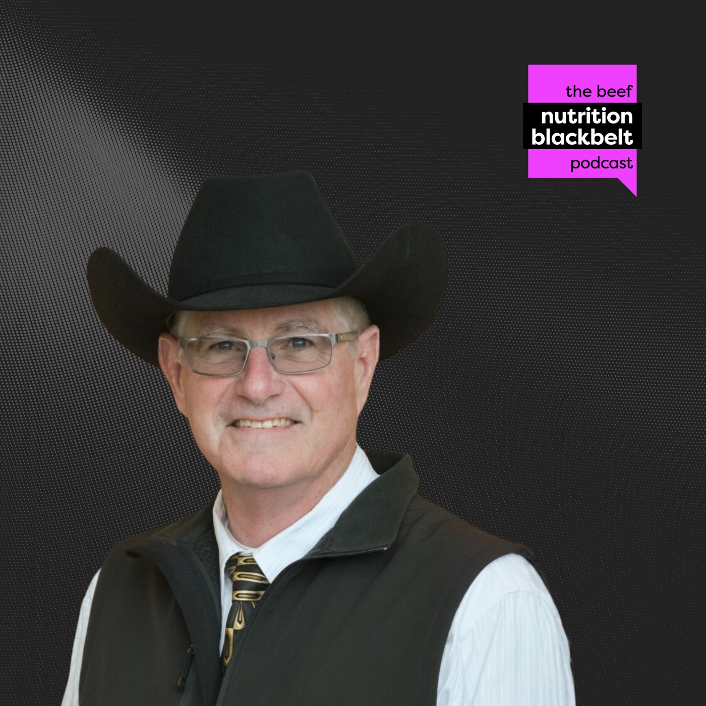 Dr. Ron Lemenager: Smarter Fly Control Strategies | Ep. 02 episode artwork