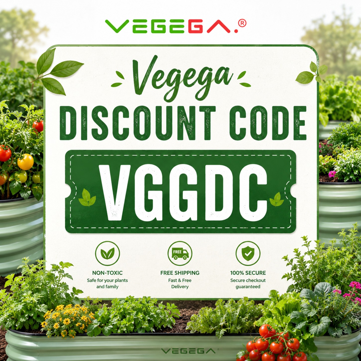 Vegega Discount Code “VGGDC”