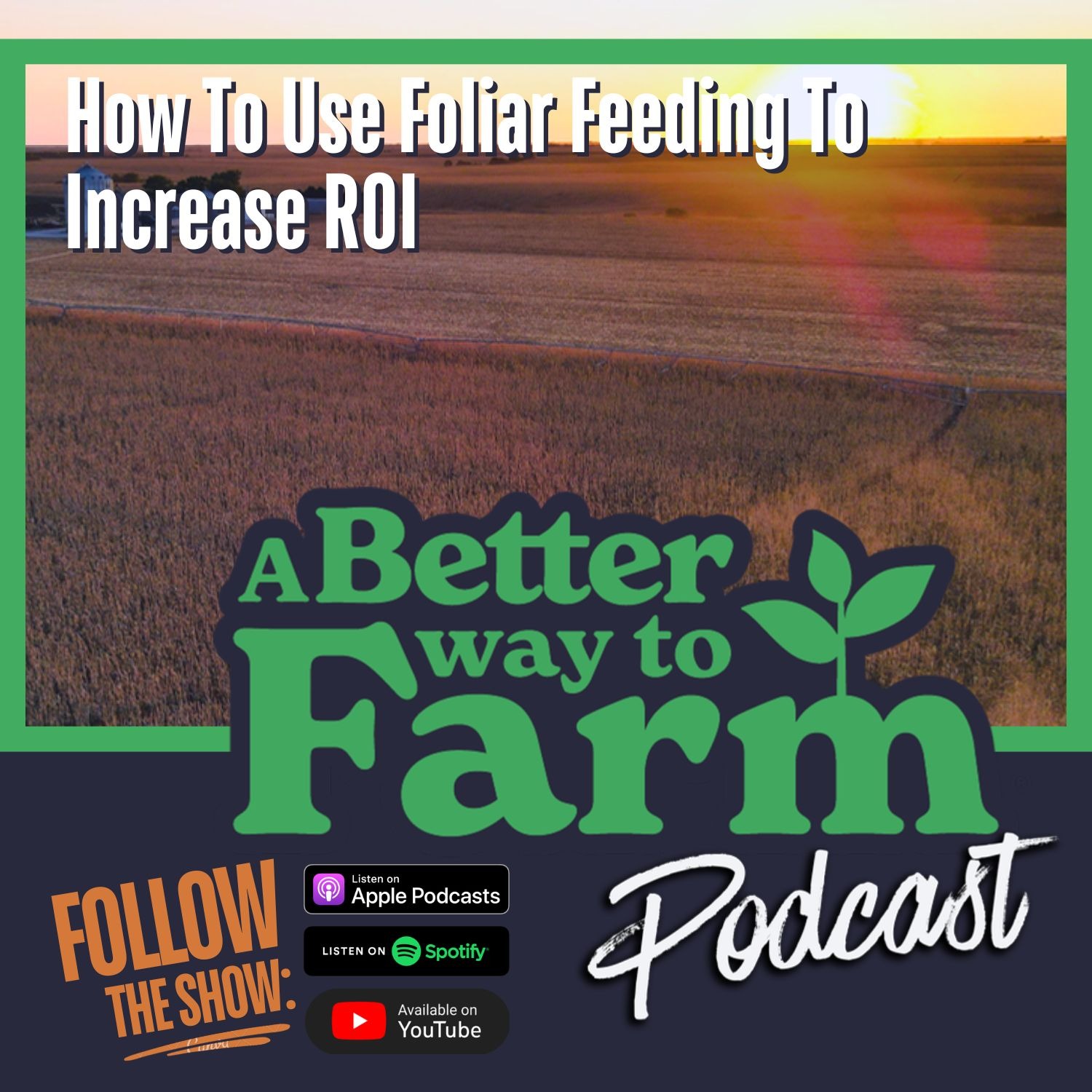 371: How To Use Foliar Feeding To Increase ROI episode artwork
