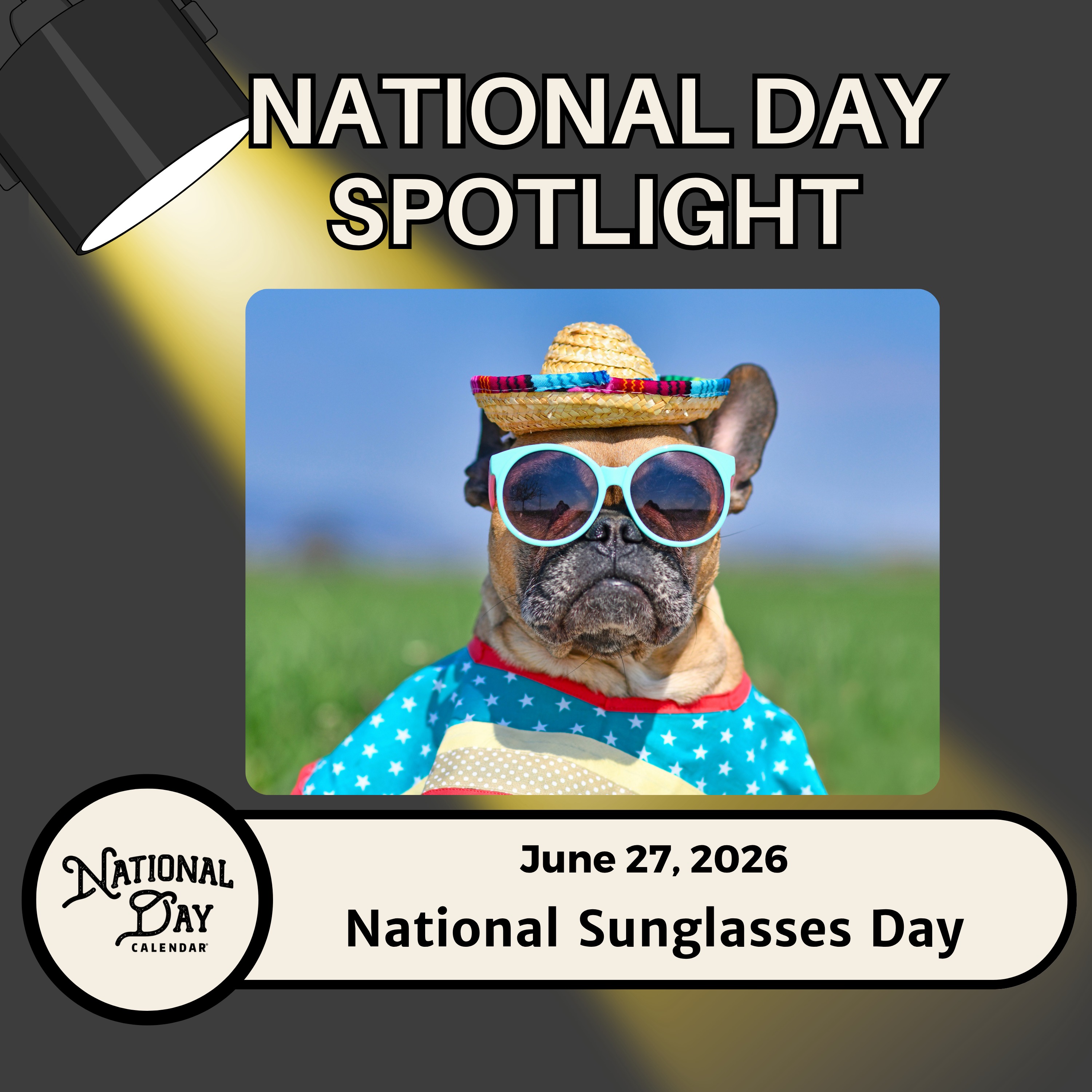 National Sunglasses Day episode artwork