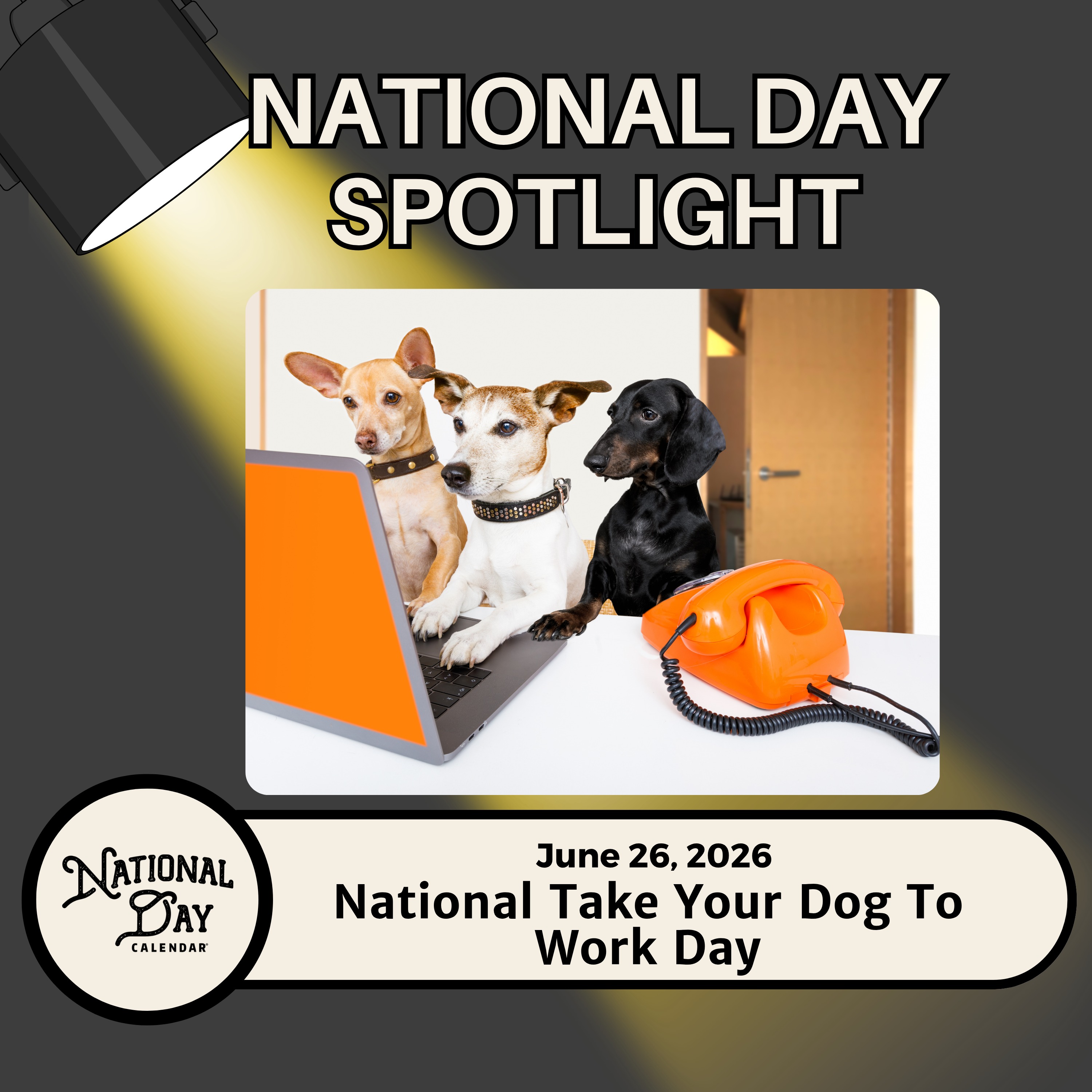 National Take Your Dog to Work Day episode artwork