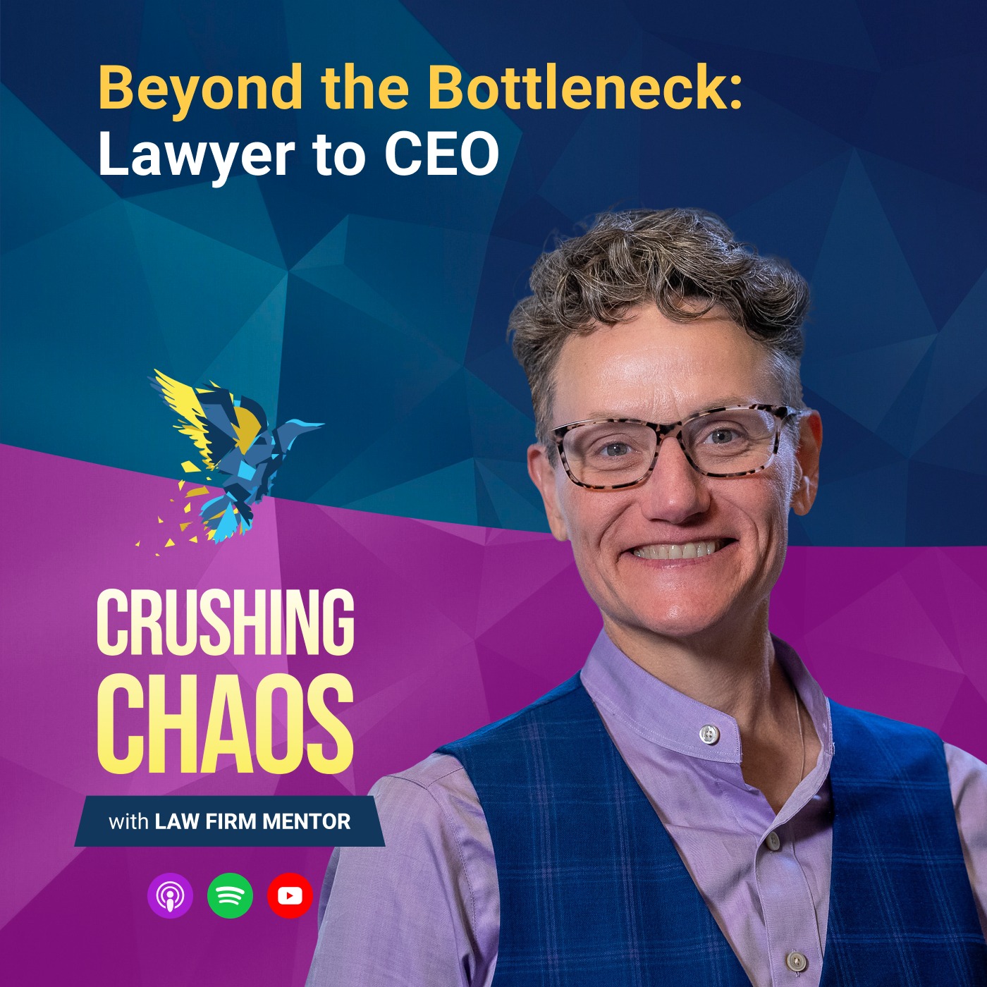 Lawyer to CEO: How to Get 30 Hours Back While Scaling Revenue to 7 Figures episode artwork