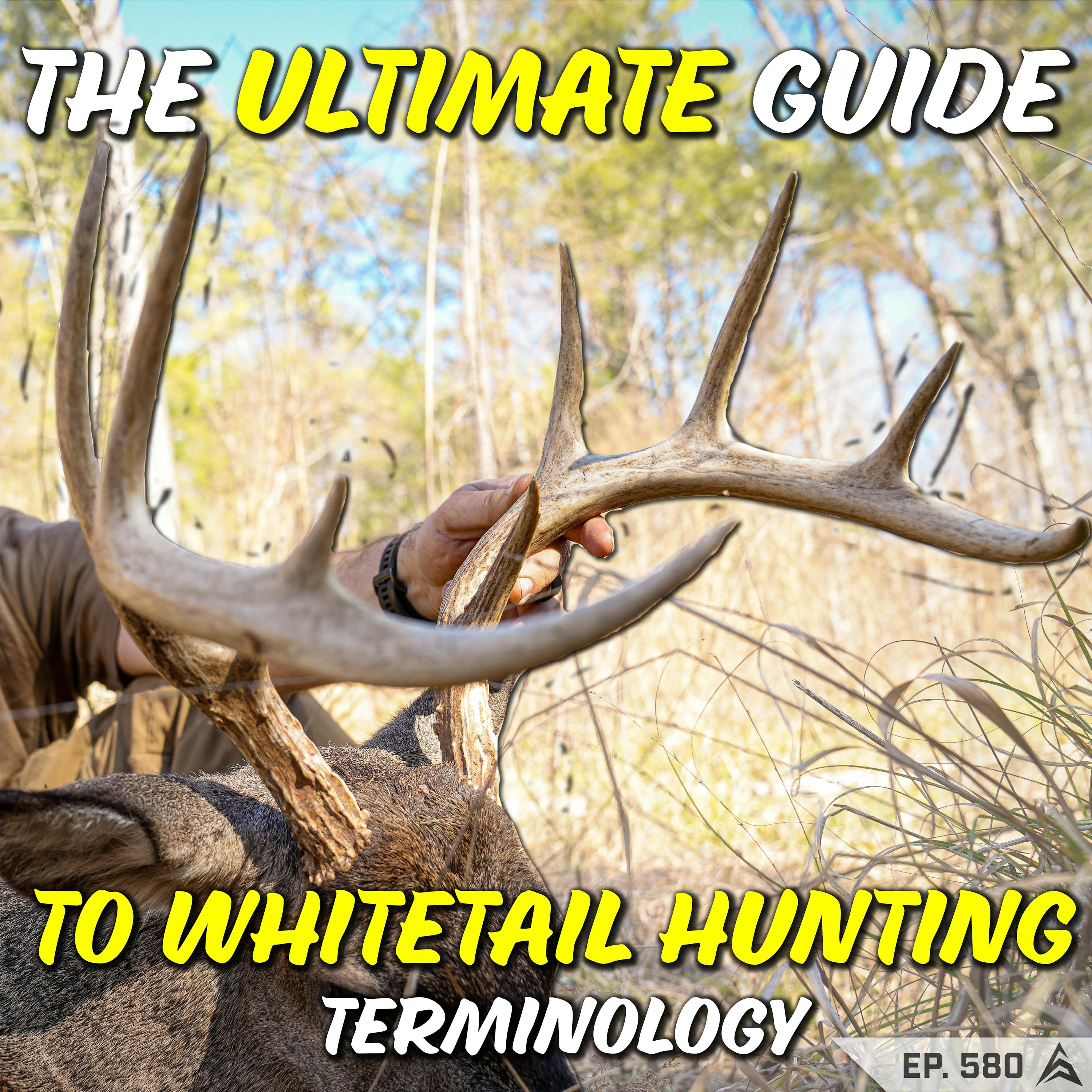 580 - The ULTIMATE GUIDE to WHITETAIL HUNTING TERMINOLOGY