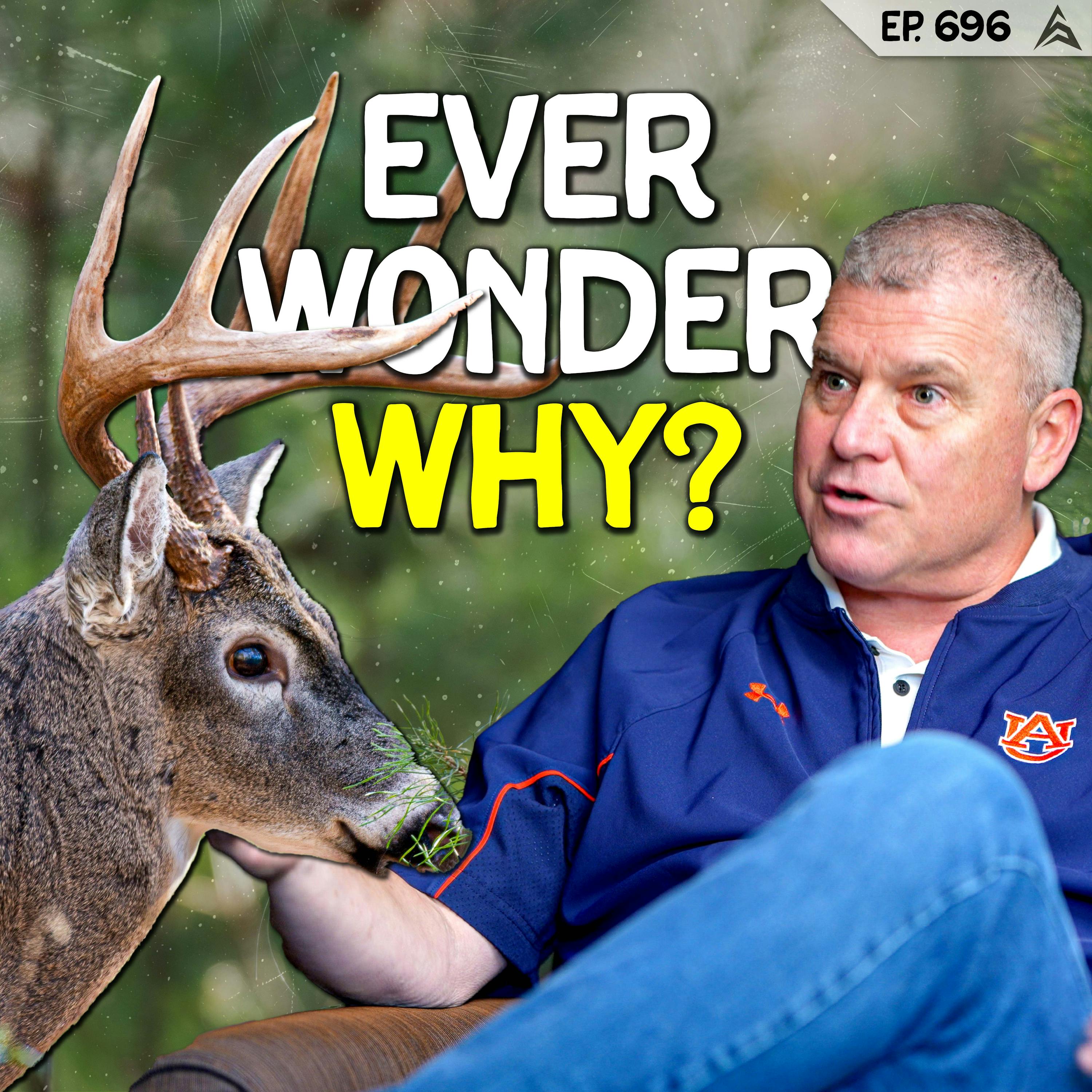 696 - Why Deer Stop Moving When You Start Hunting with Dr. Stephen Ditchkoff