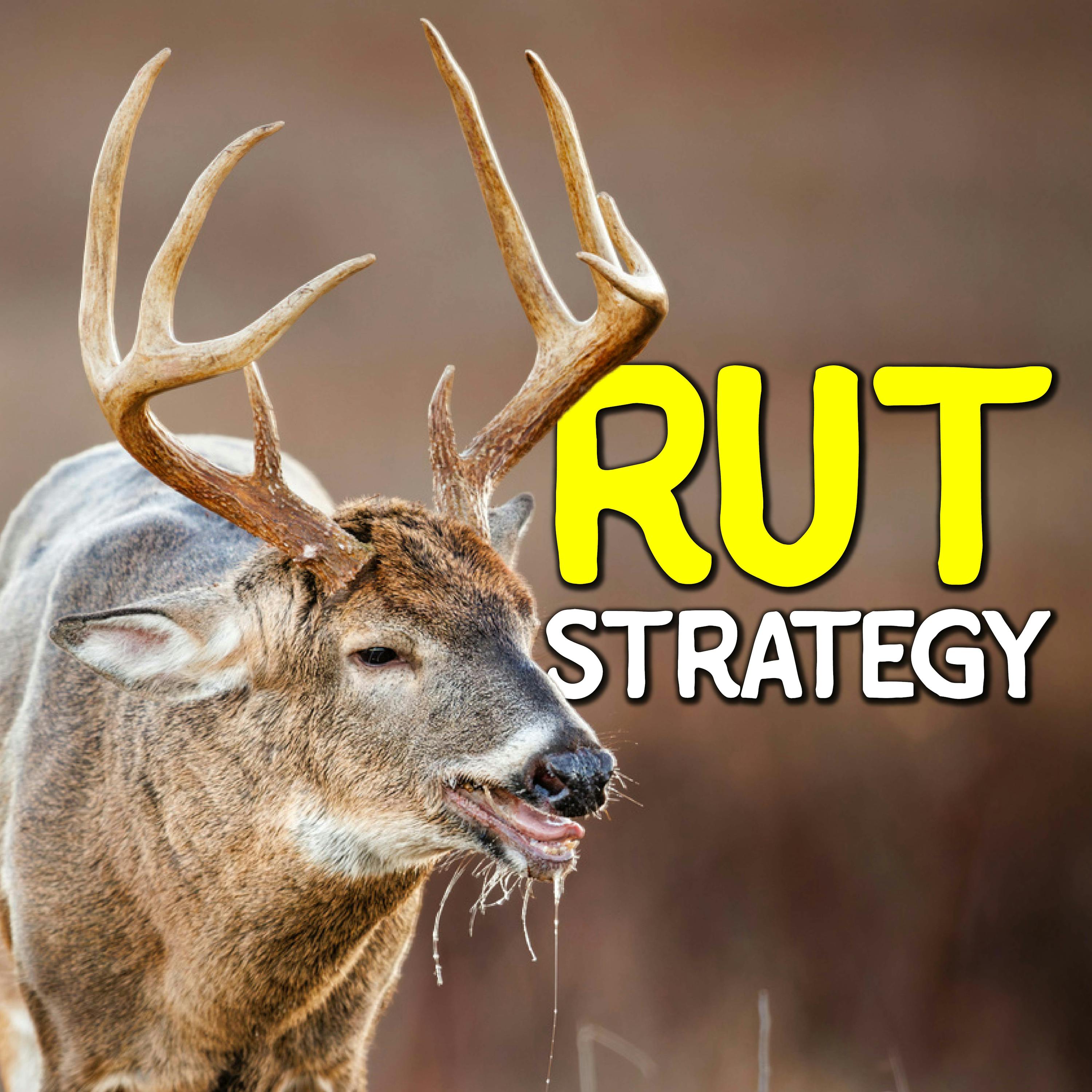 740 - Rut Hunting Tactics That Work ANYWHERE with Zach White & Kaiden Gray