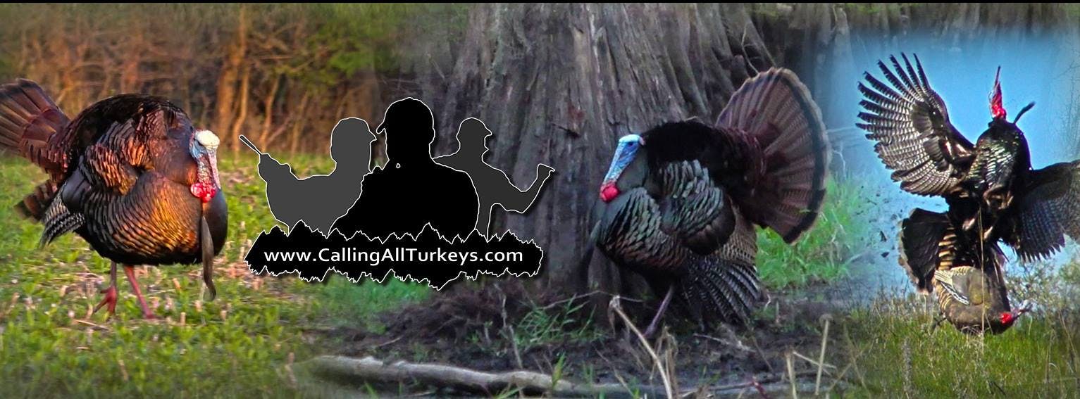 EP. 91 - Shane Simpson of Calling All Turkeys