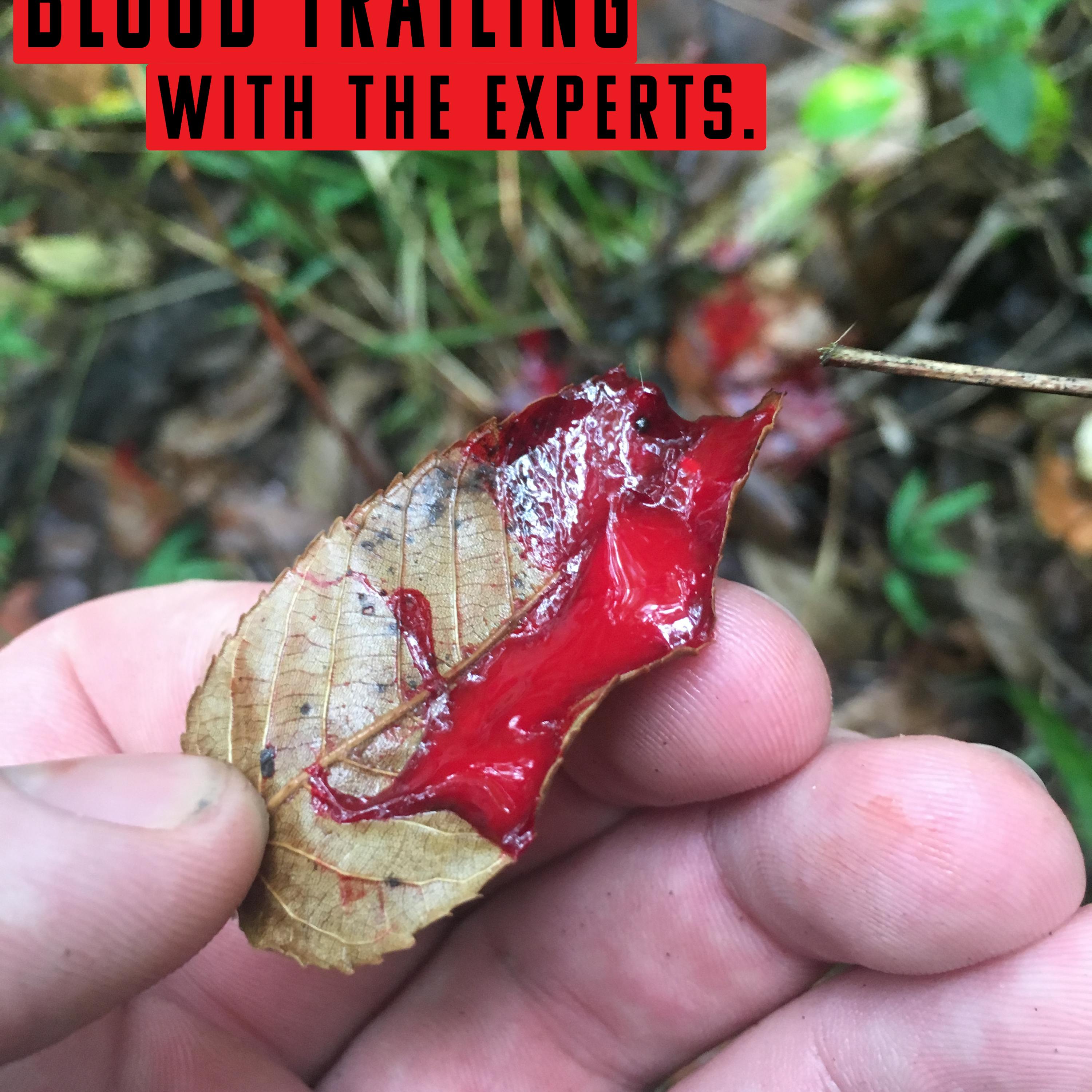 EP. 55- Blood Trailing with the Experts, part 1