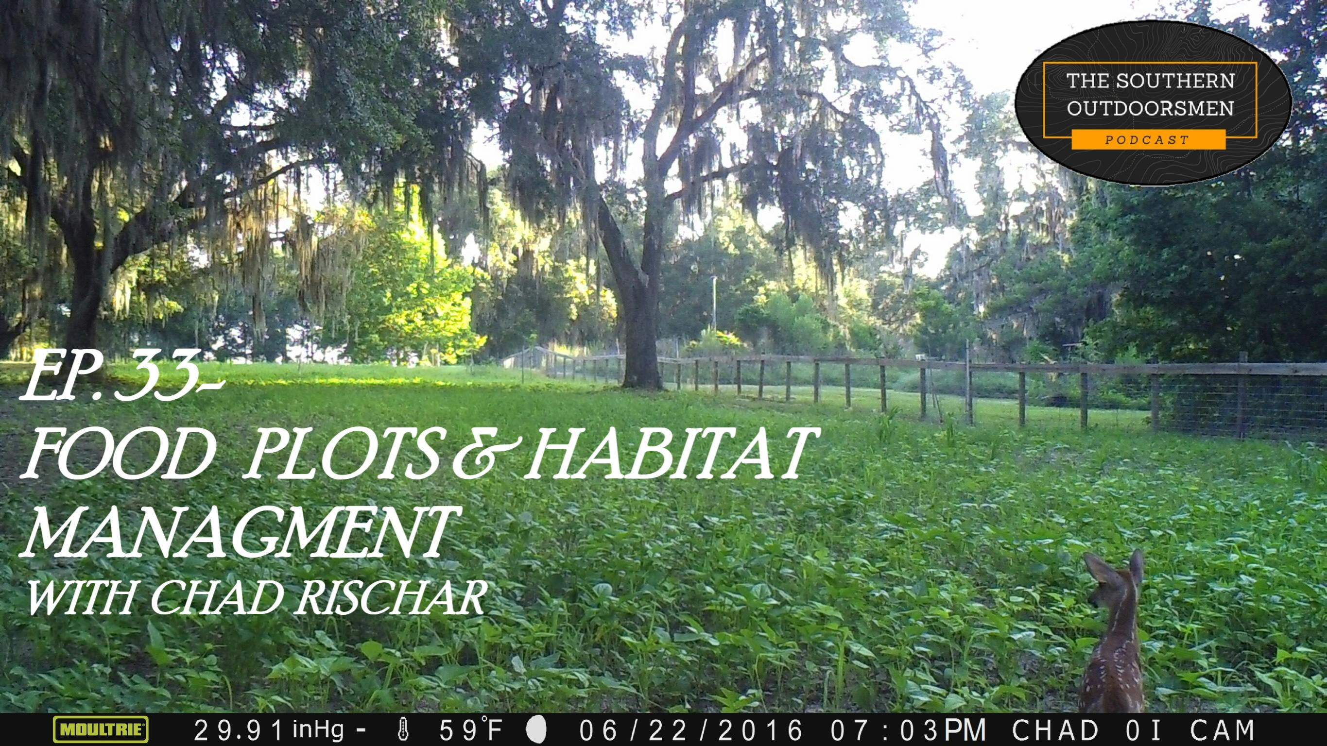 EP. 33- FOOD PLOTS AND SOUTHERN HABITAT MANAGEMENT WITH CHAD RISCHAR