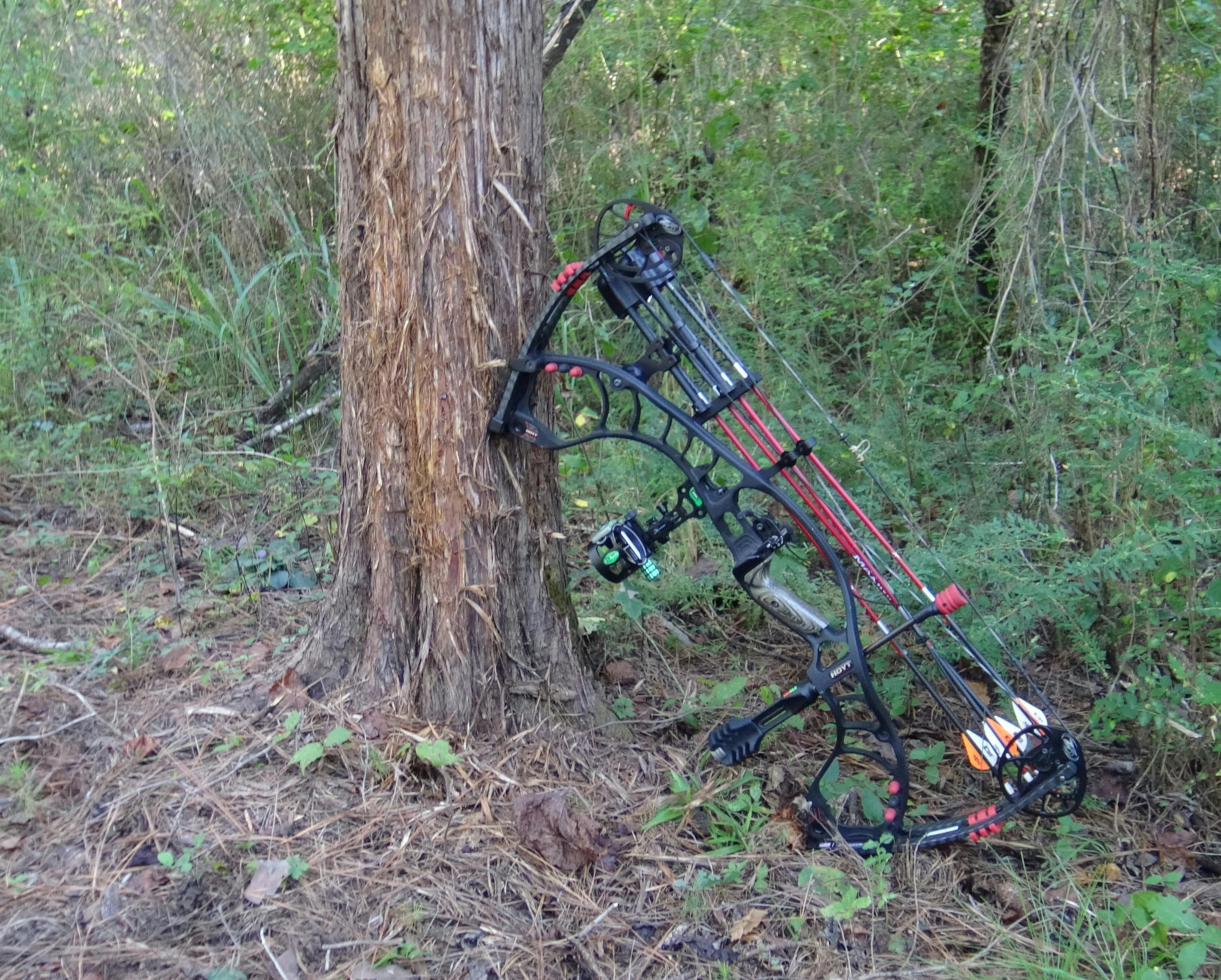 EP. 66- Campfire Rut Talk