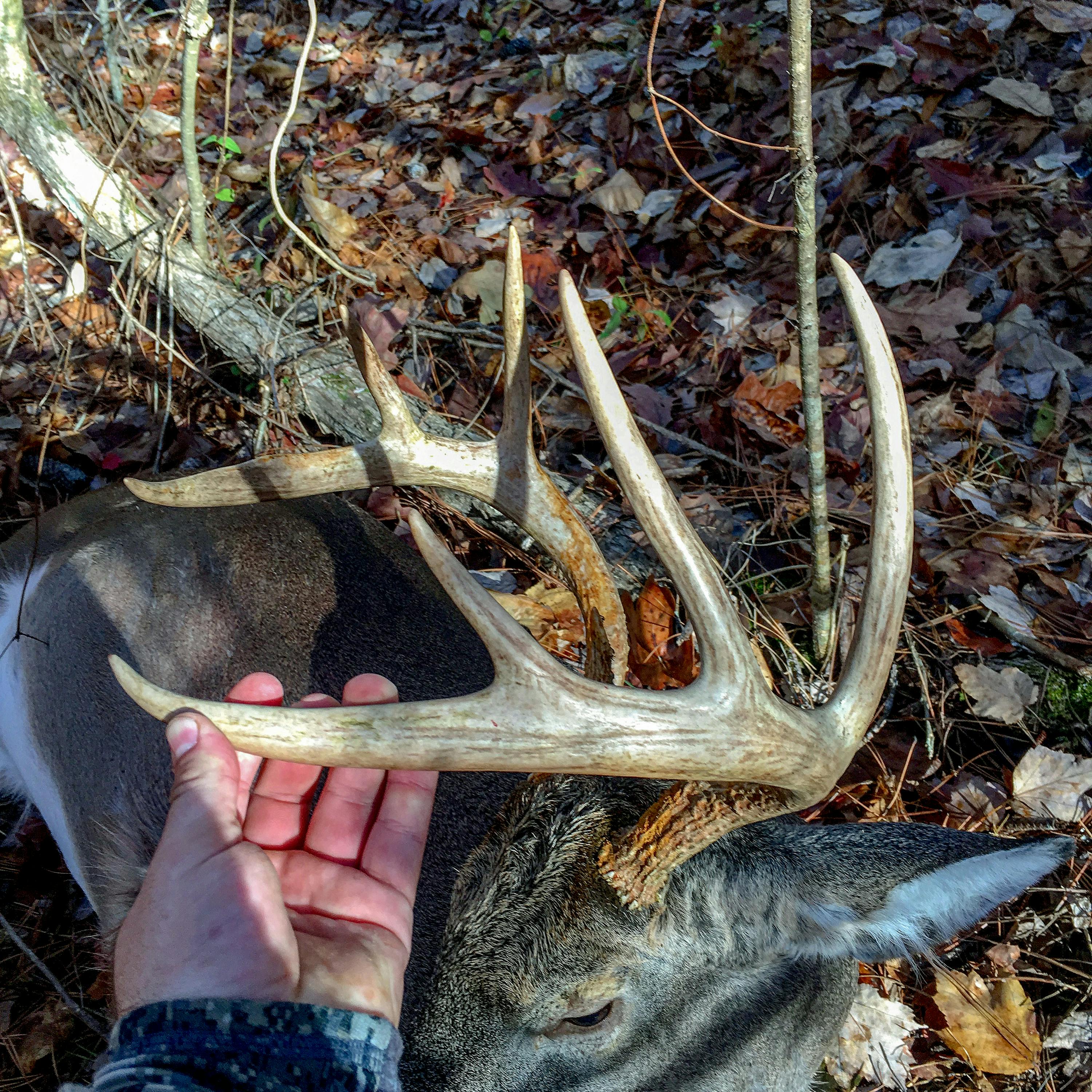 EP. 114 - Killer Funnel & Pinch Point Tactics