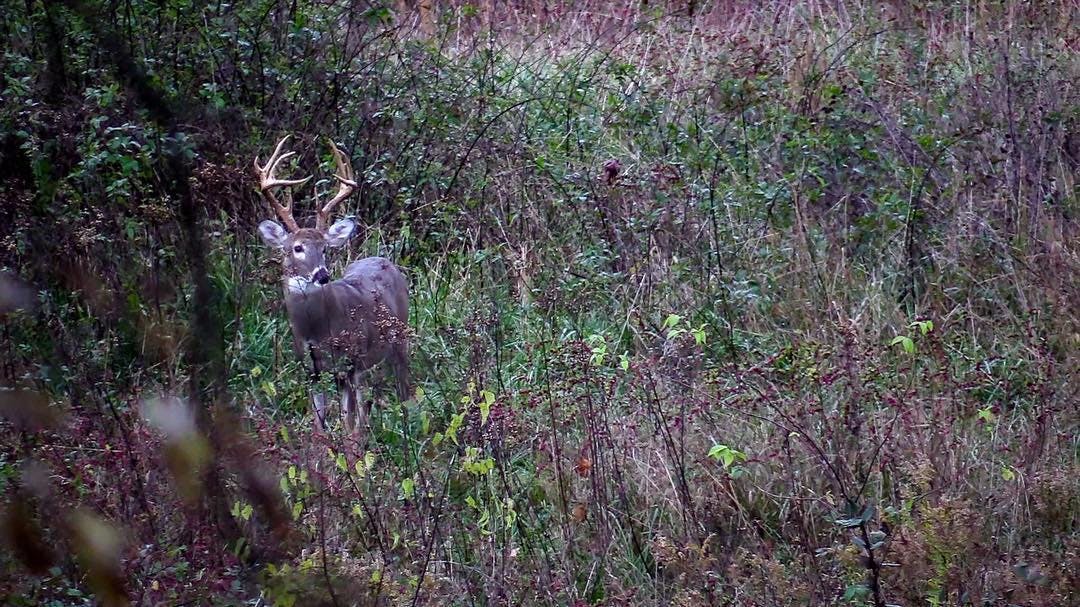 EP. 79- 10 Years of the Hunting Beast Style