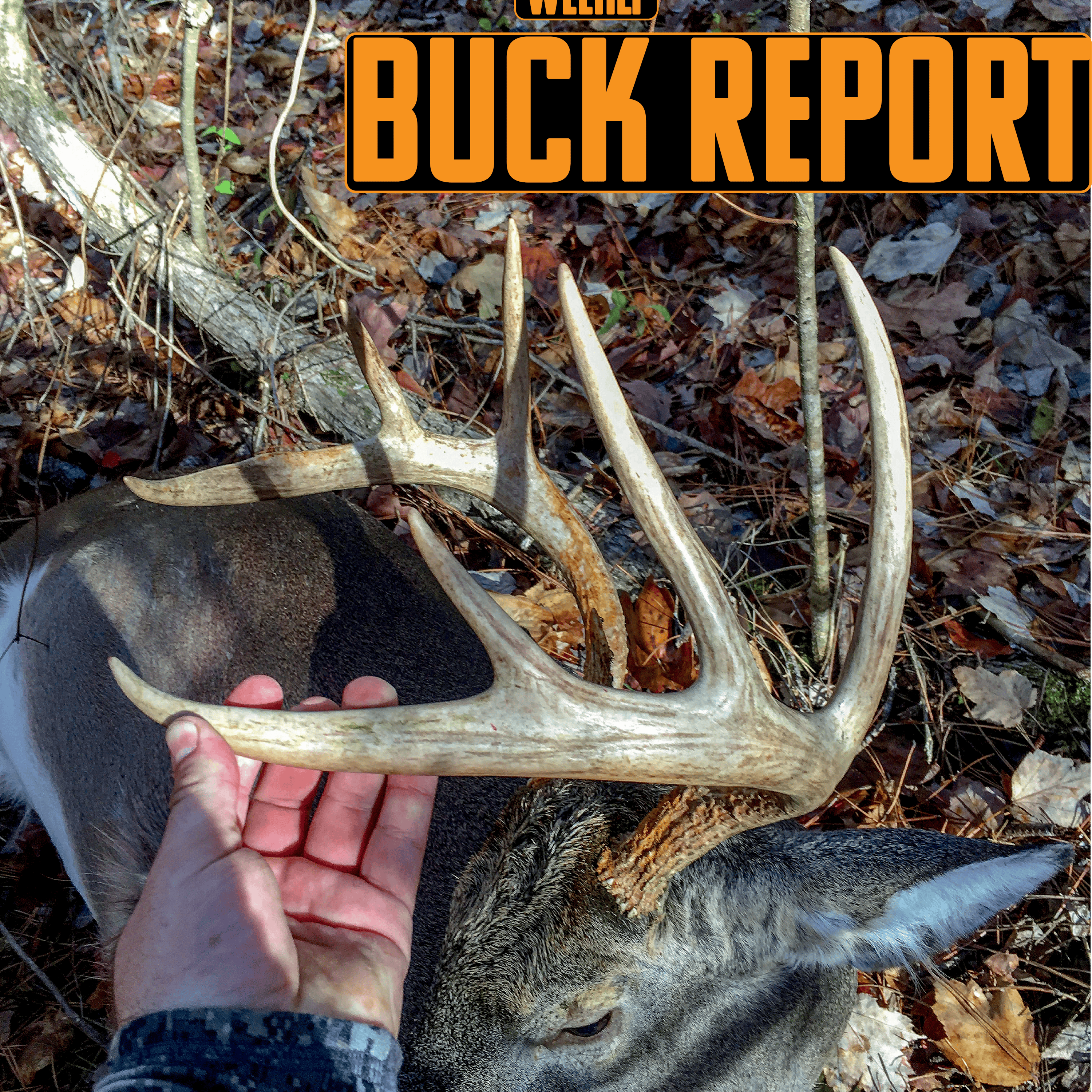 EP. 42- BUCK REPORT Sept. 7 2018