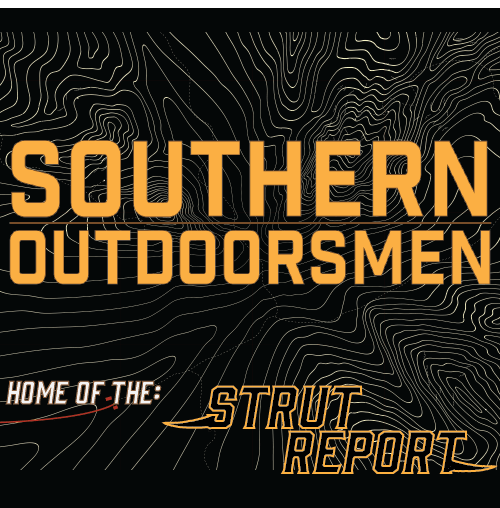 STRUT REPORT EP. 8 - April 19, 2019