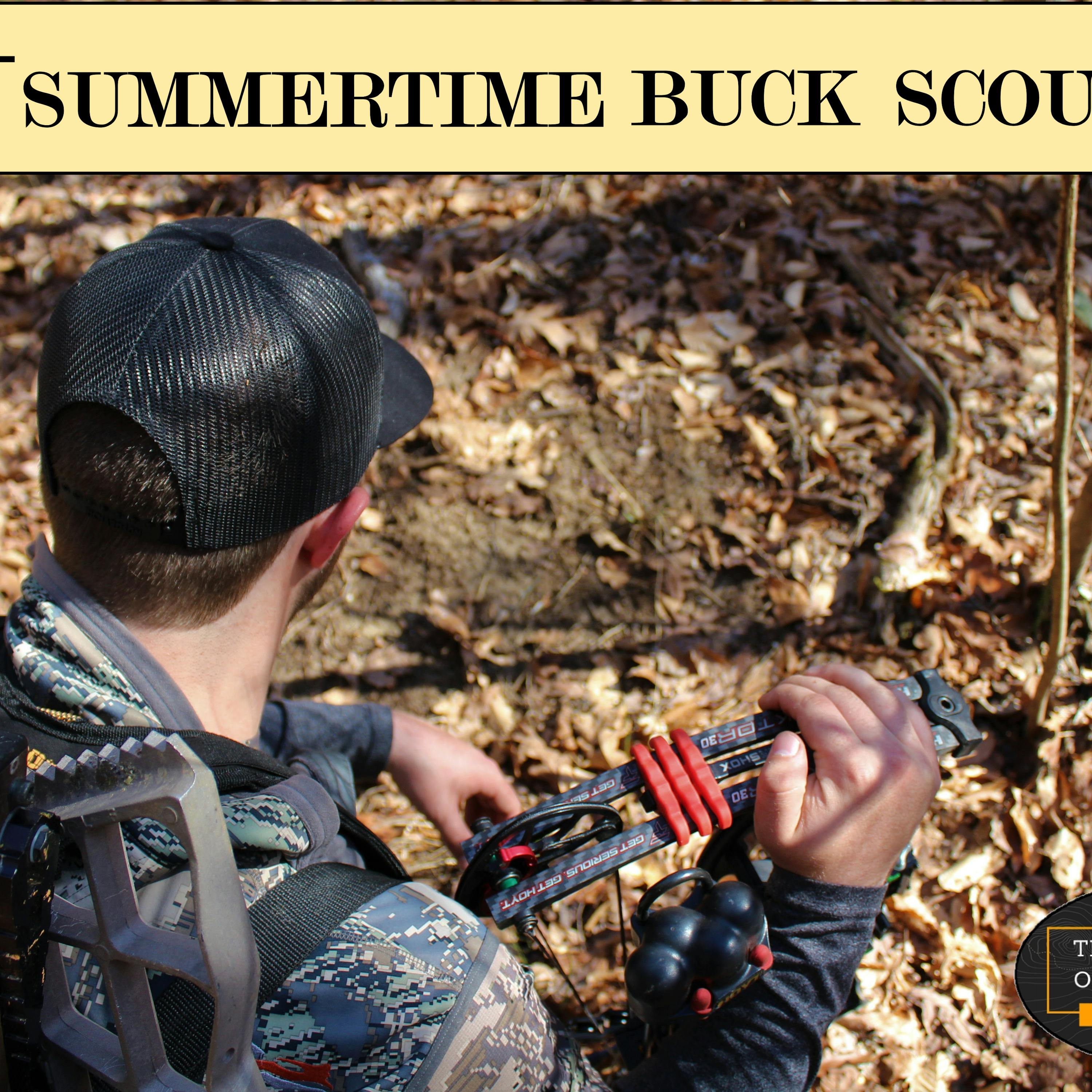 Ep. 31- Summertime Buck Scouting