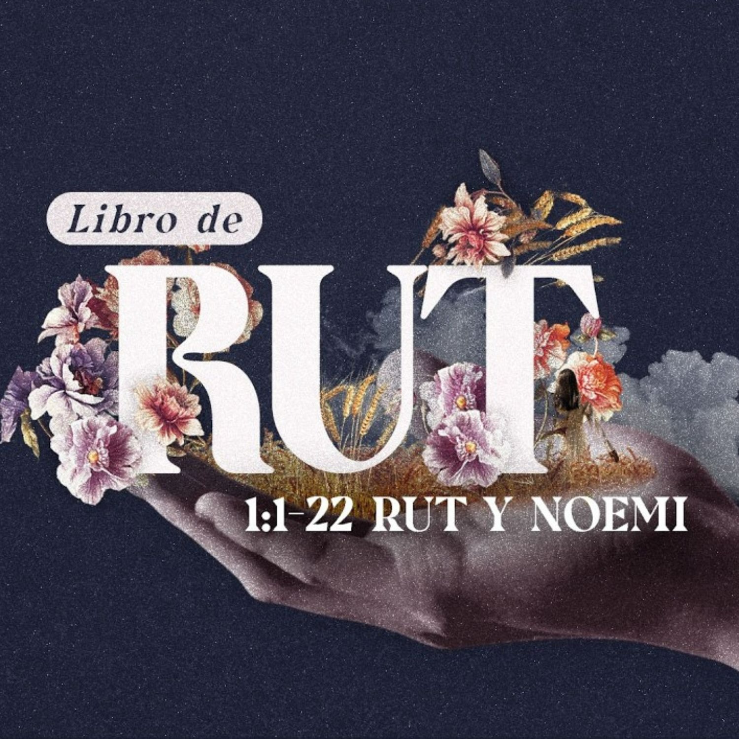 Rut 1 1 - 22 Rut y Noemi episode artwork