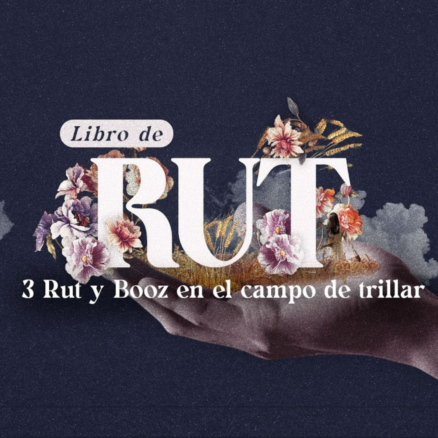Rut y Booz en el campo del trillar episode artwork