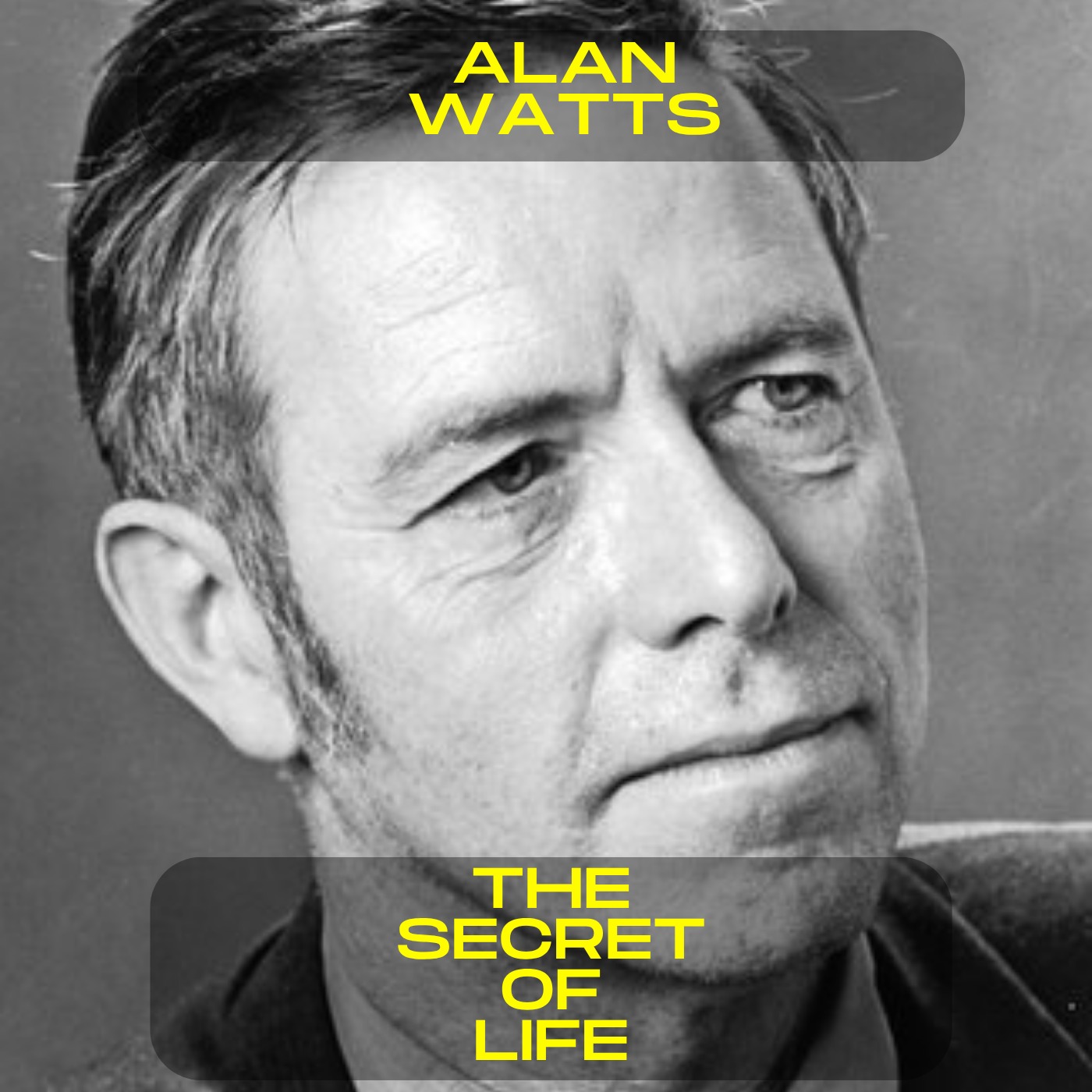 Alan Watts – The Secret of Life I Motivational Speech