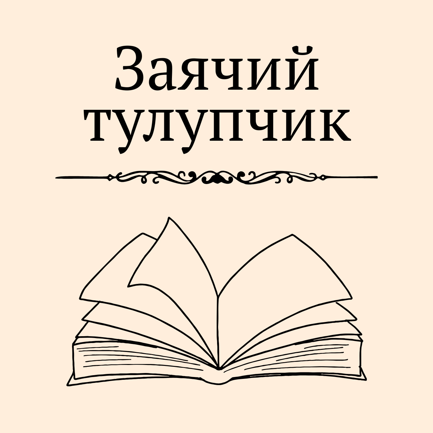Audio Player Image