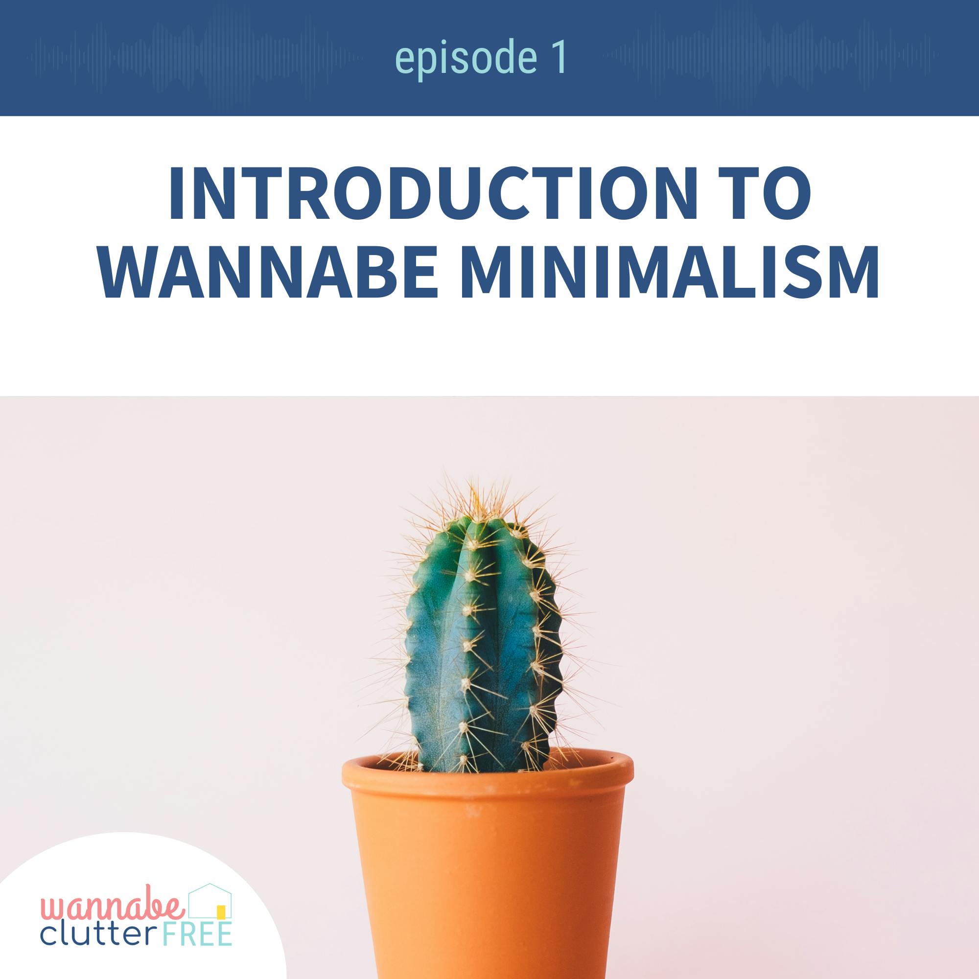 Ep 01: Introduction to Wannabe Minimalism episode artwork