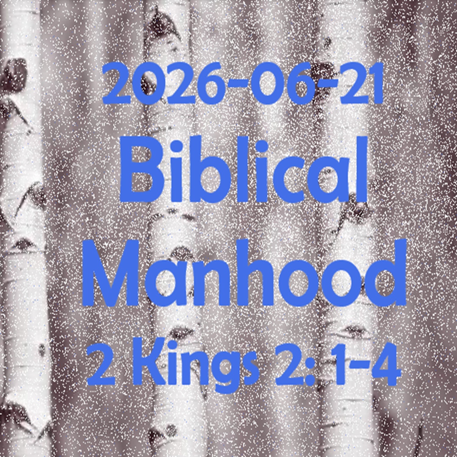 2026.06.21 Biblical Manhood episode artwork