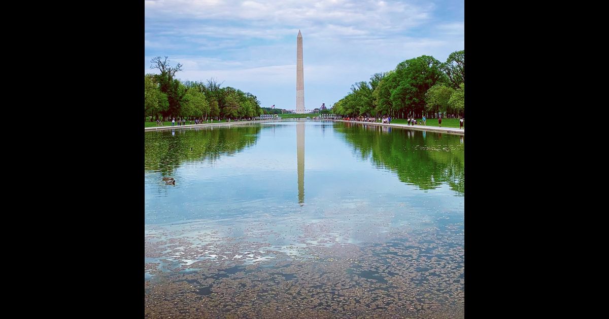 The reflecting pool is blue: The Big Lie (UnSpun Rewind)