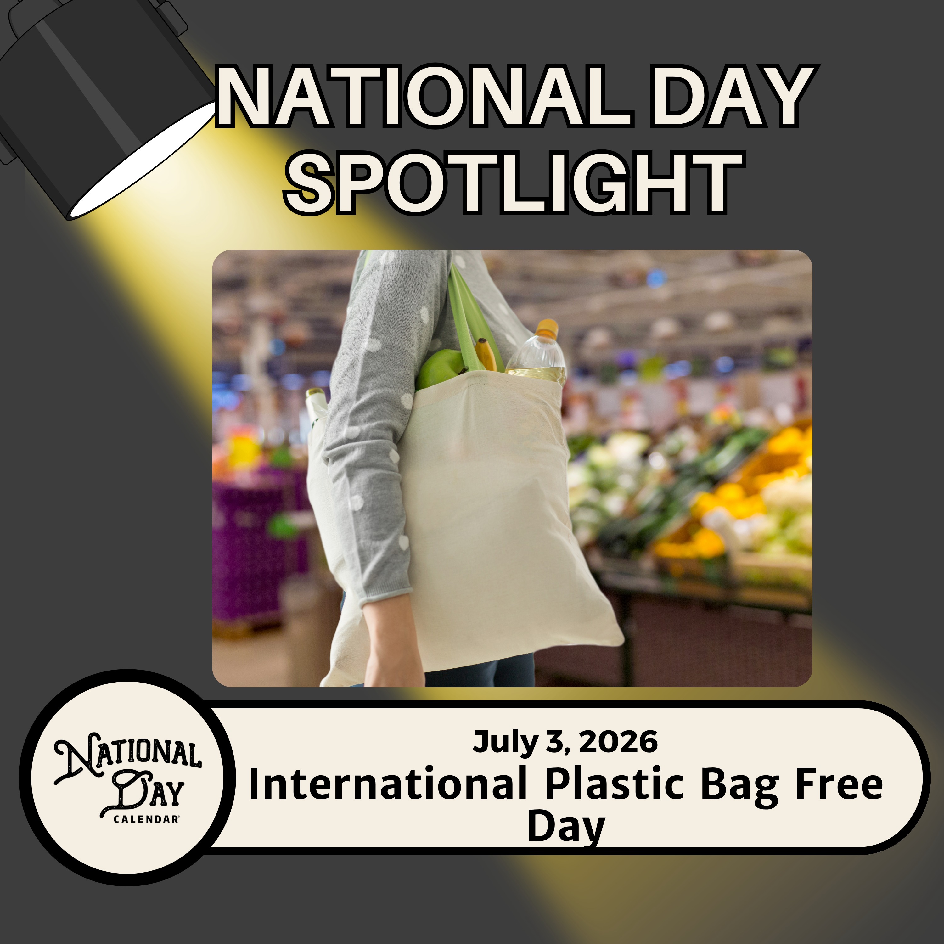 International Plastic Bag Free Day episode artwork