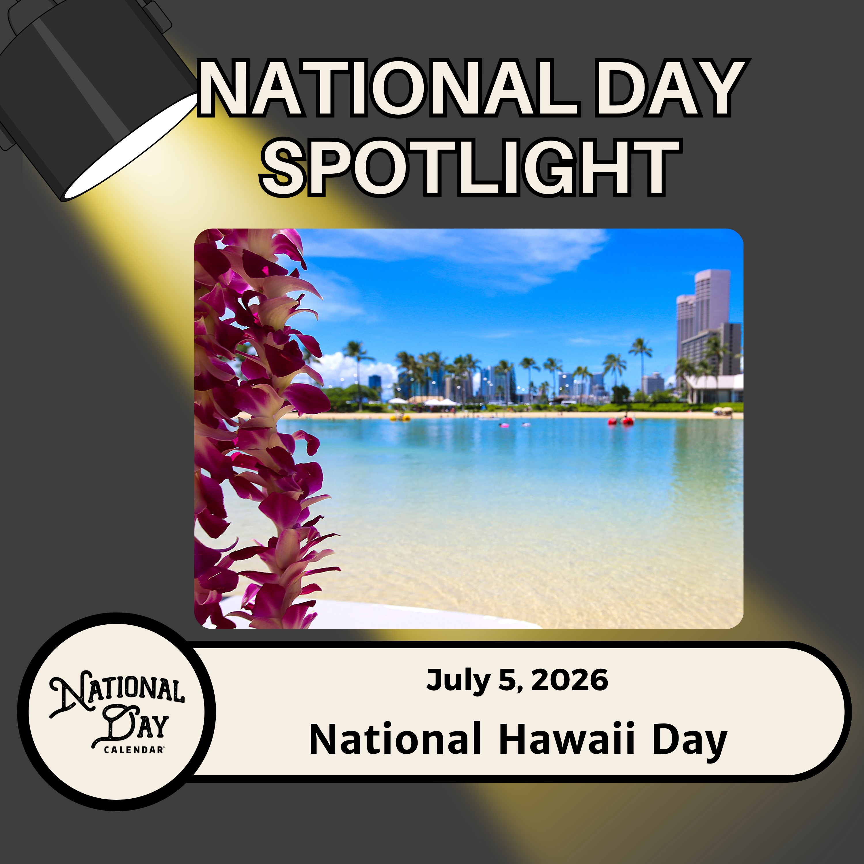 National Hawaii Day episode artwork