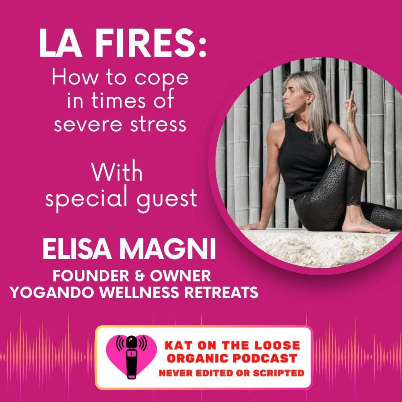 LA FIRES - HOW TO COPE WITH SEVERE STRESS WITH SPECIAL GUEST ELISA MAGNI FOUNDER OF YOGANDO episode artwork