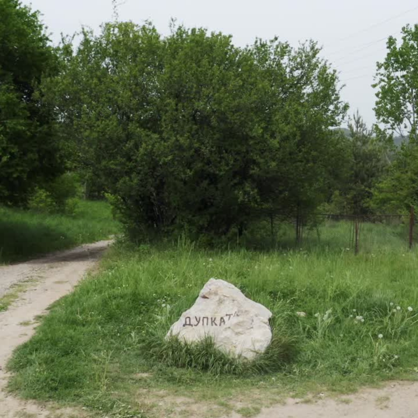 Tsarichina Excavation