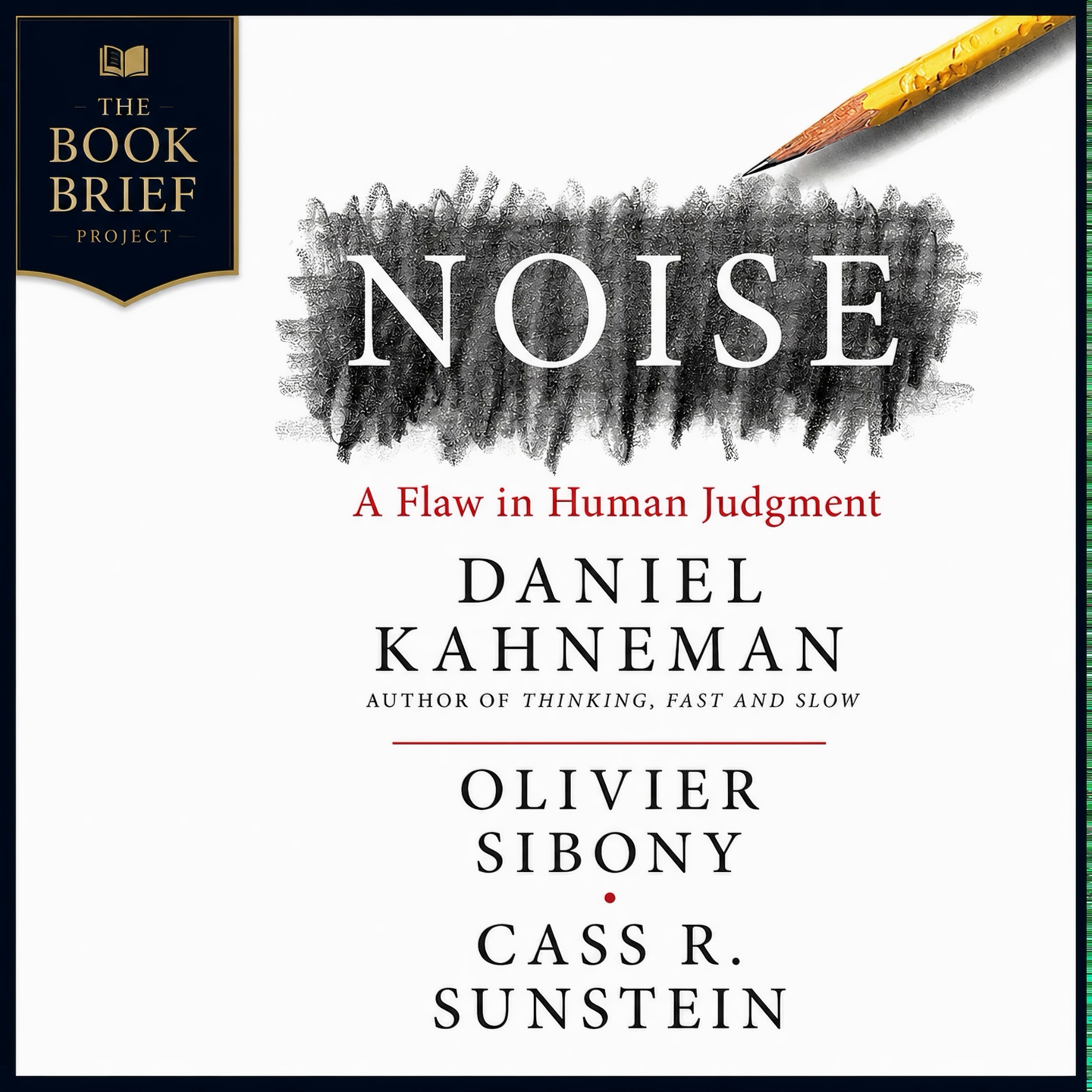 Why Experts Keep Making the Same Invisible Mistake | Noise episode artwork