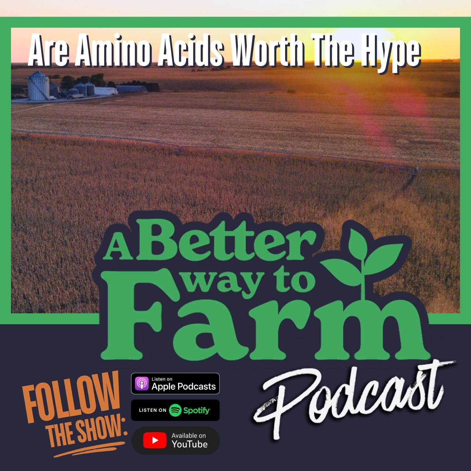 375: Are Amino Acids Worth The Hype