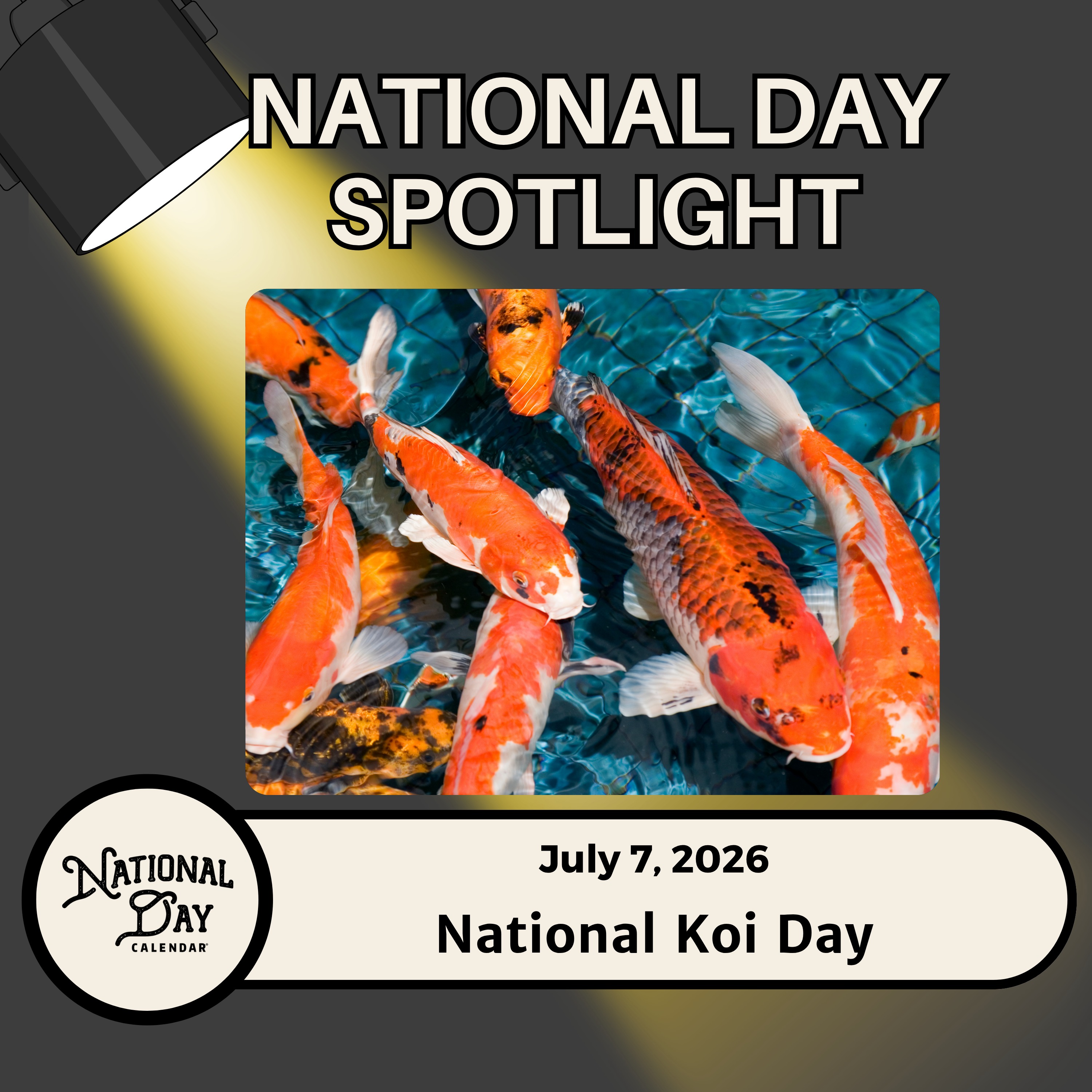 National Koi Day episode artwork