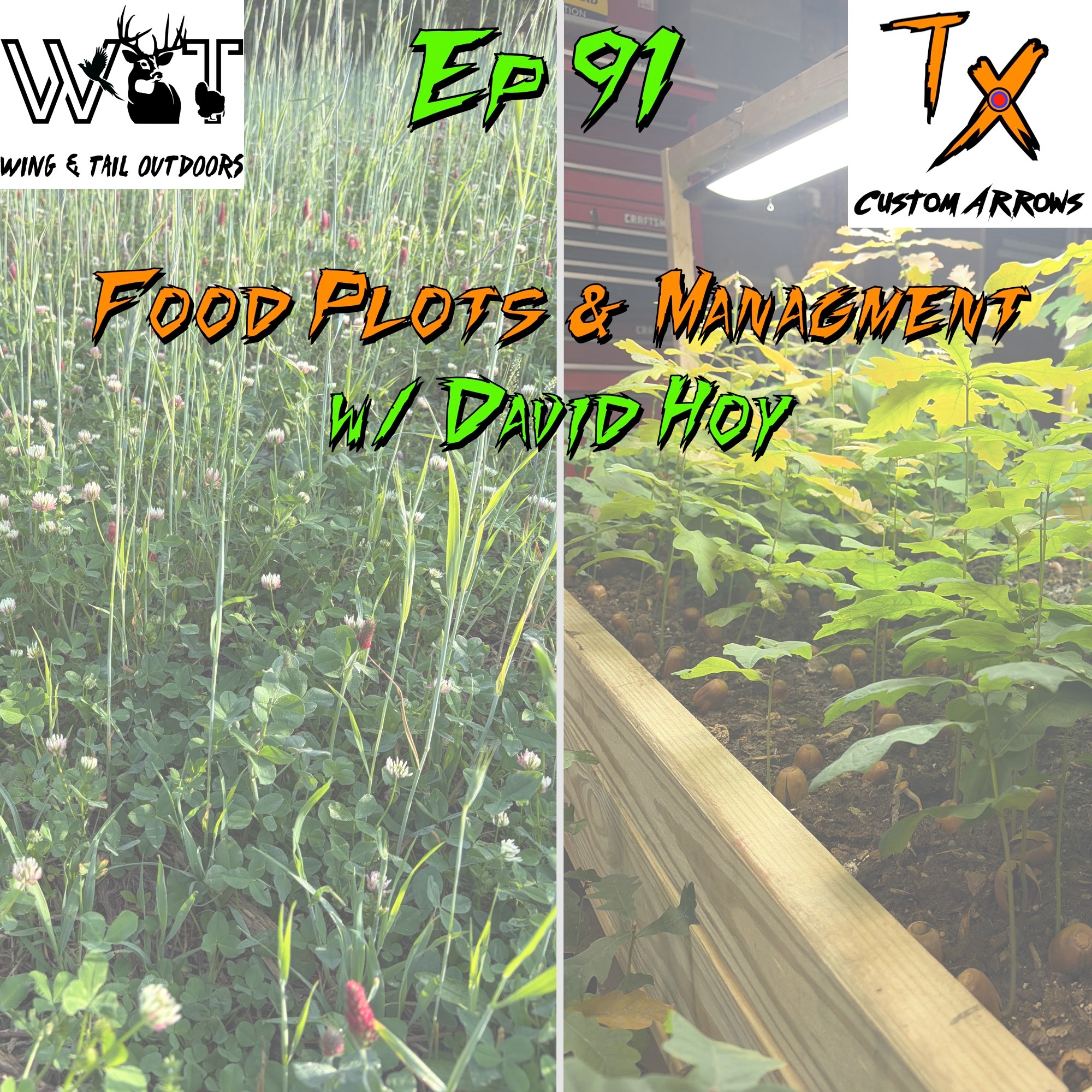 Wing & Tail Outdoors - Food Plots & Management w/ David Hoy