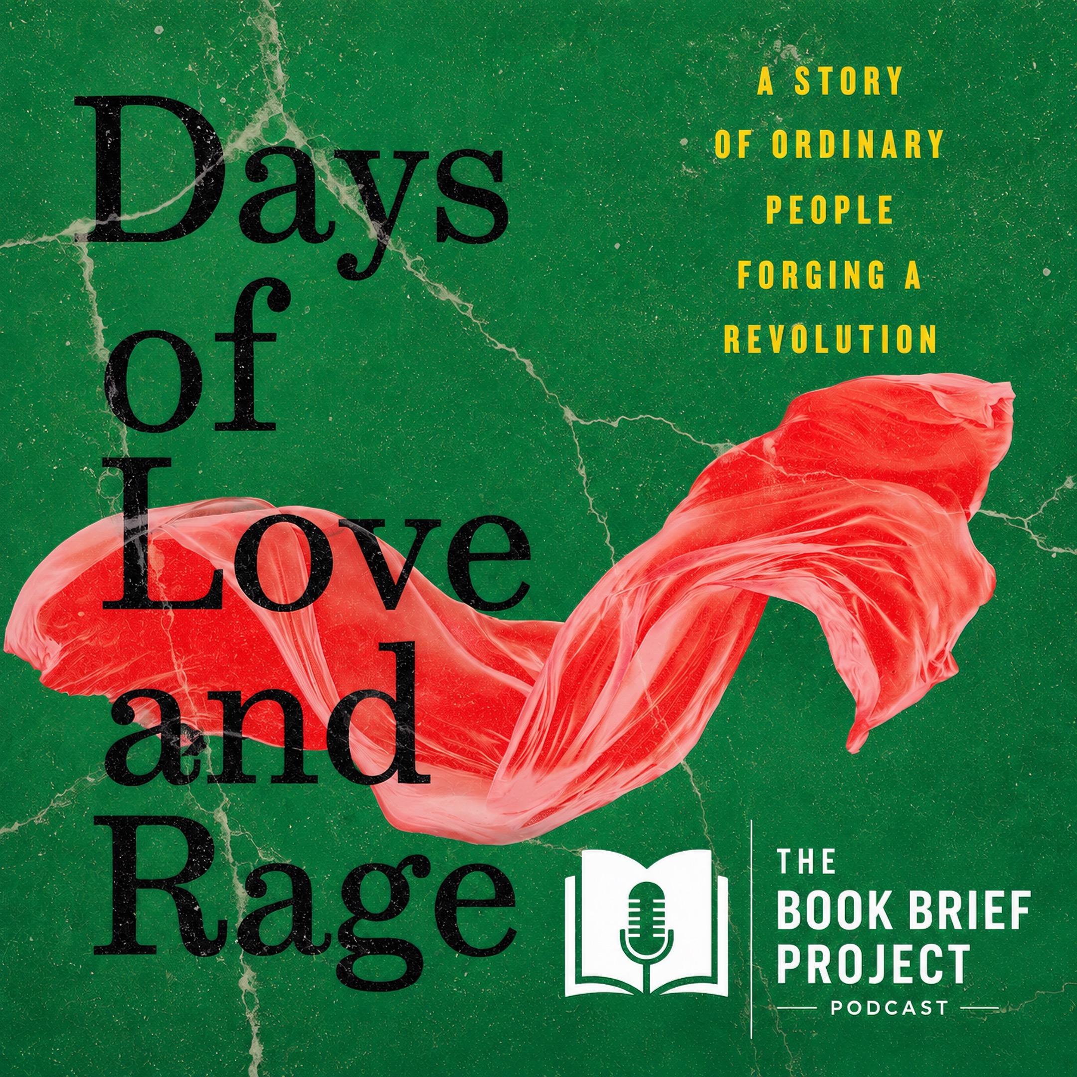 The Syrian Revolution Nobody Covered | Days of Love and Rage episode artwork