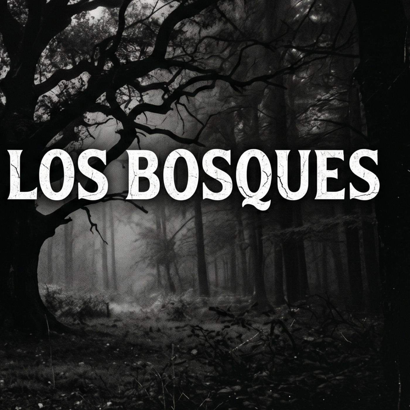 Misterios en los bosques episode artwork