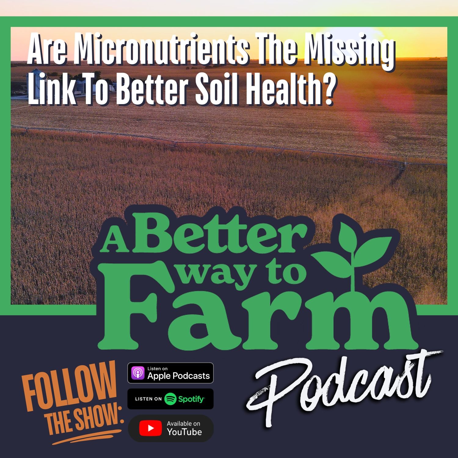 370: Are Micronutrients The Missing Link To Better Soil Health?