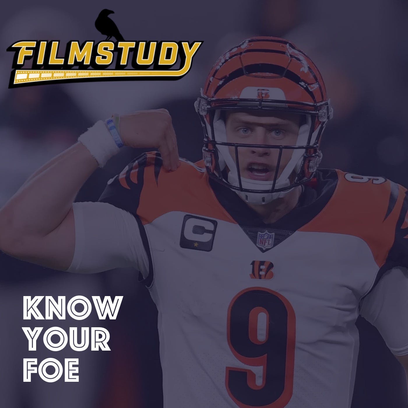 Know Your Foe: Cincinnati Bengals - Week 17 2020