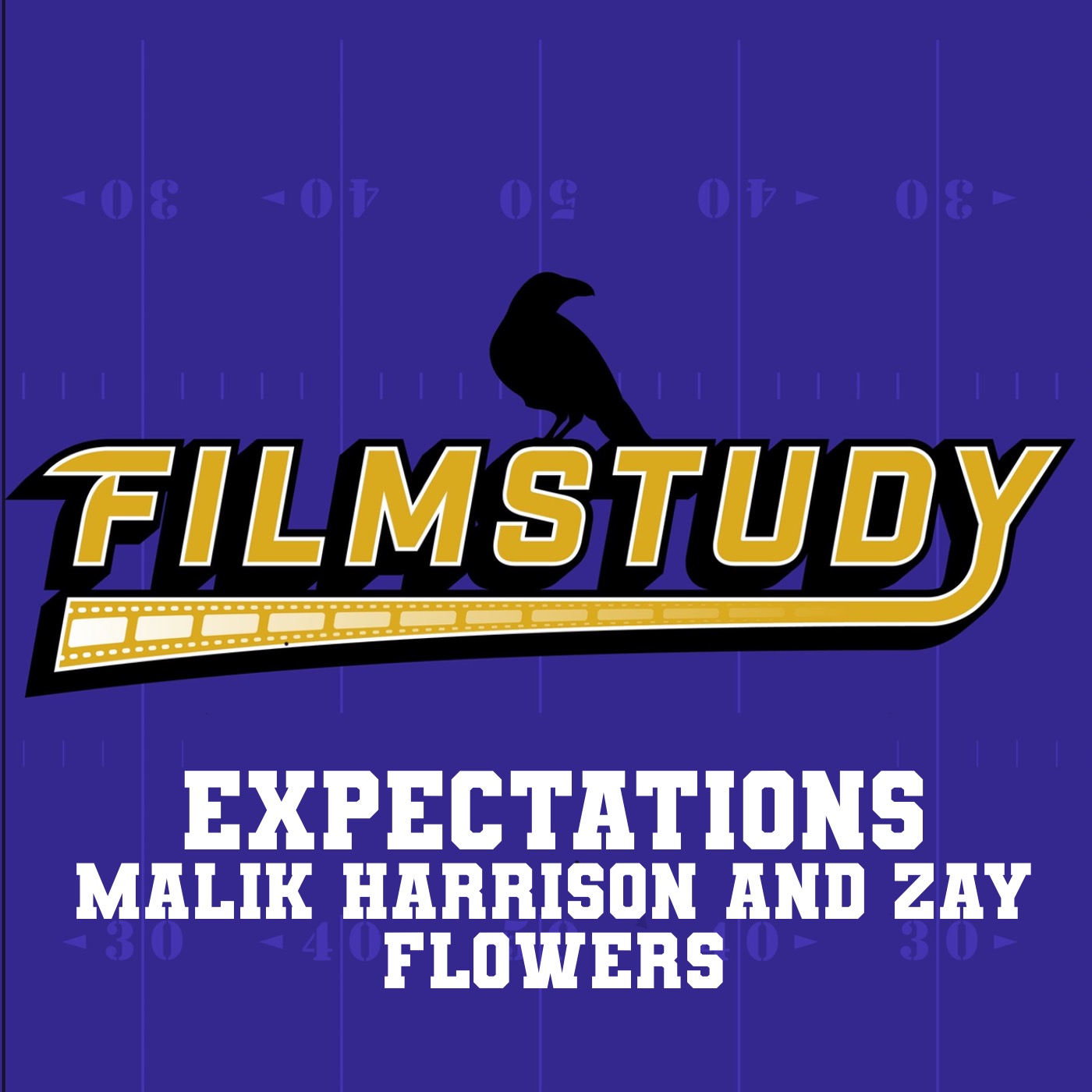 2024 Expectations: Malik Harrison and Zay Flowers episode artwork