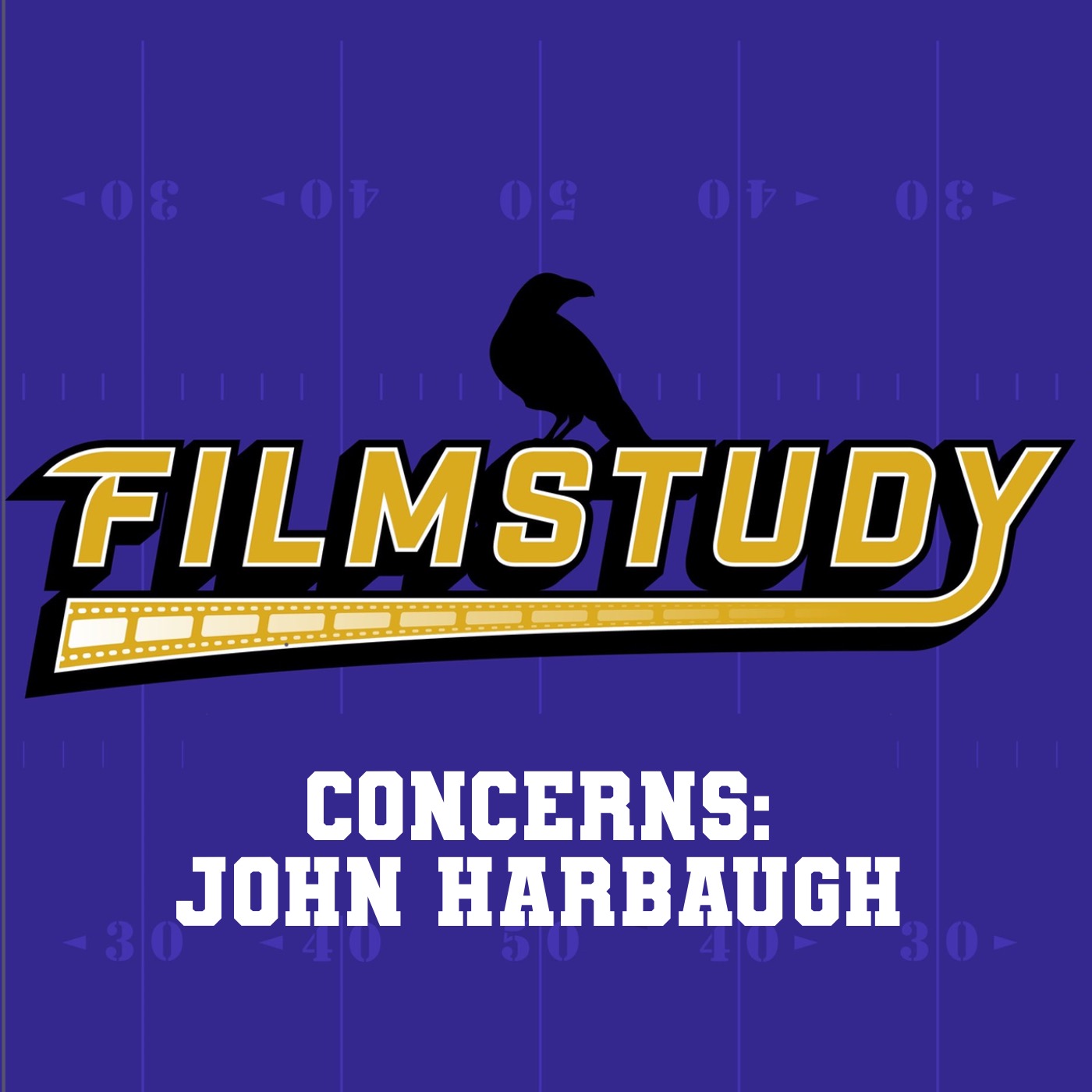 Concerns: John Harbaugh 8-30-25 episode artwork