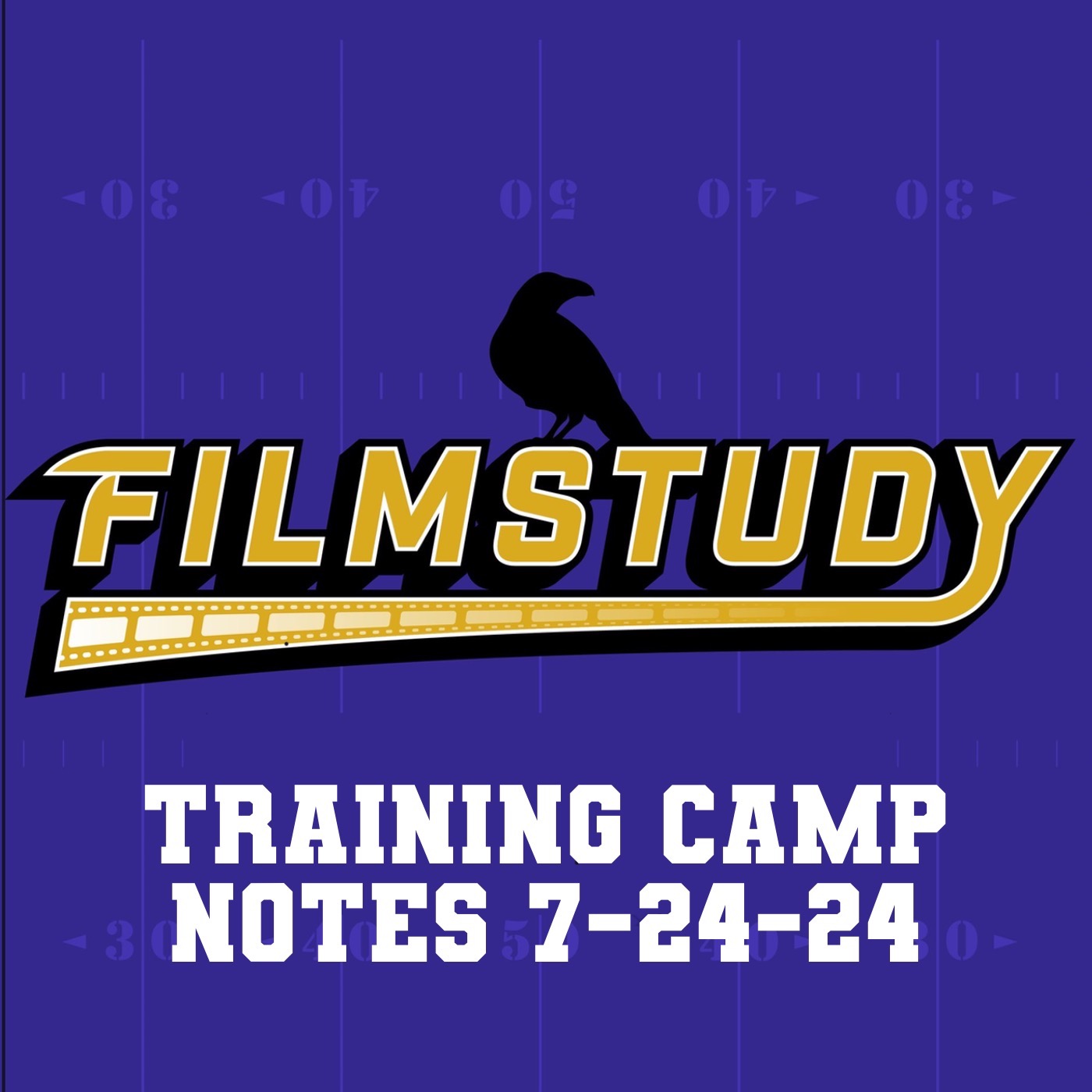 Training Camp Notes 7-24-24 episode artwork