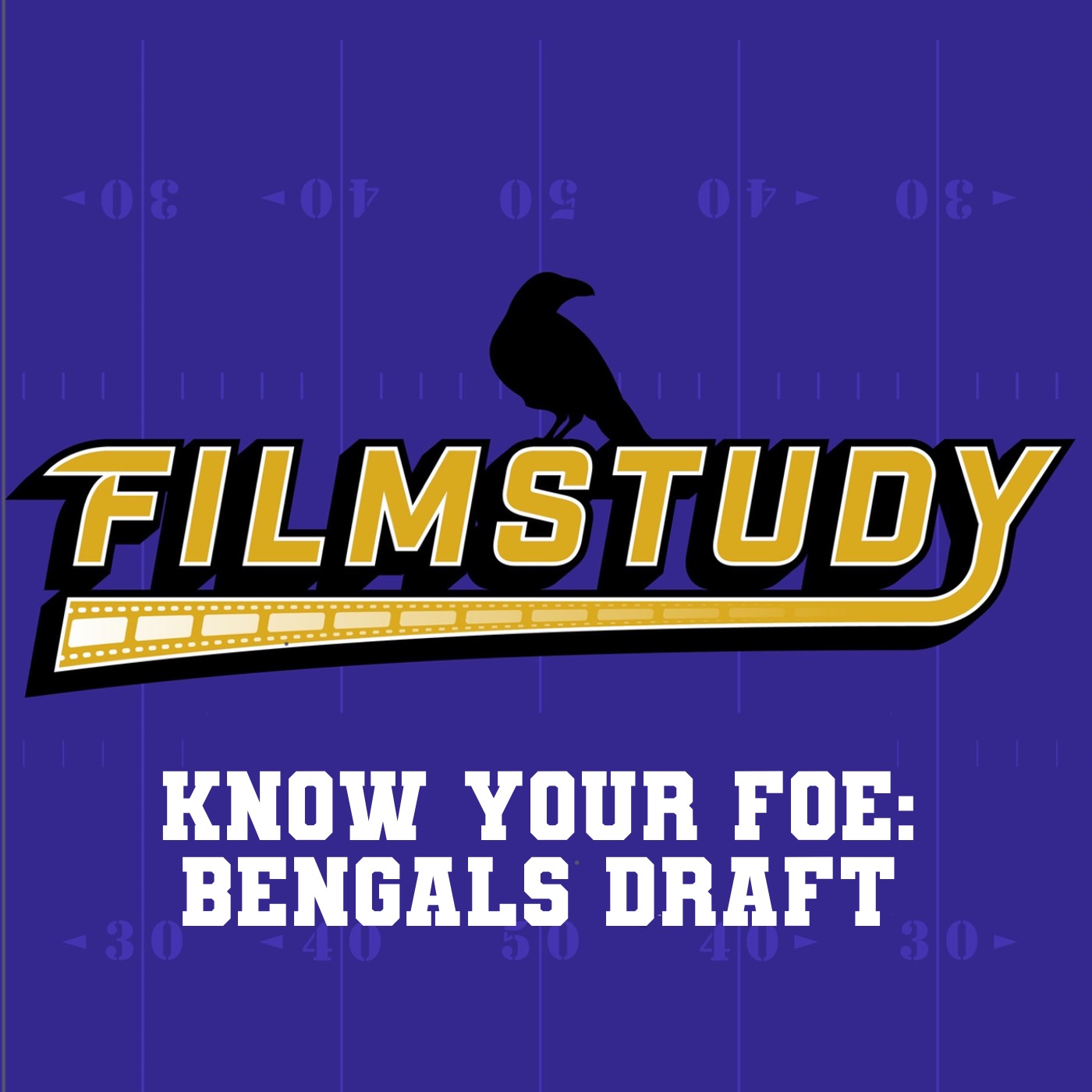 Know Your Foe: Bengals Draft episode artwork