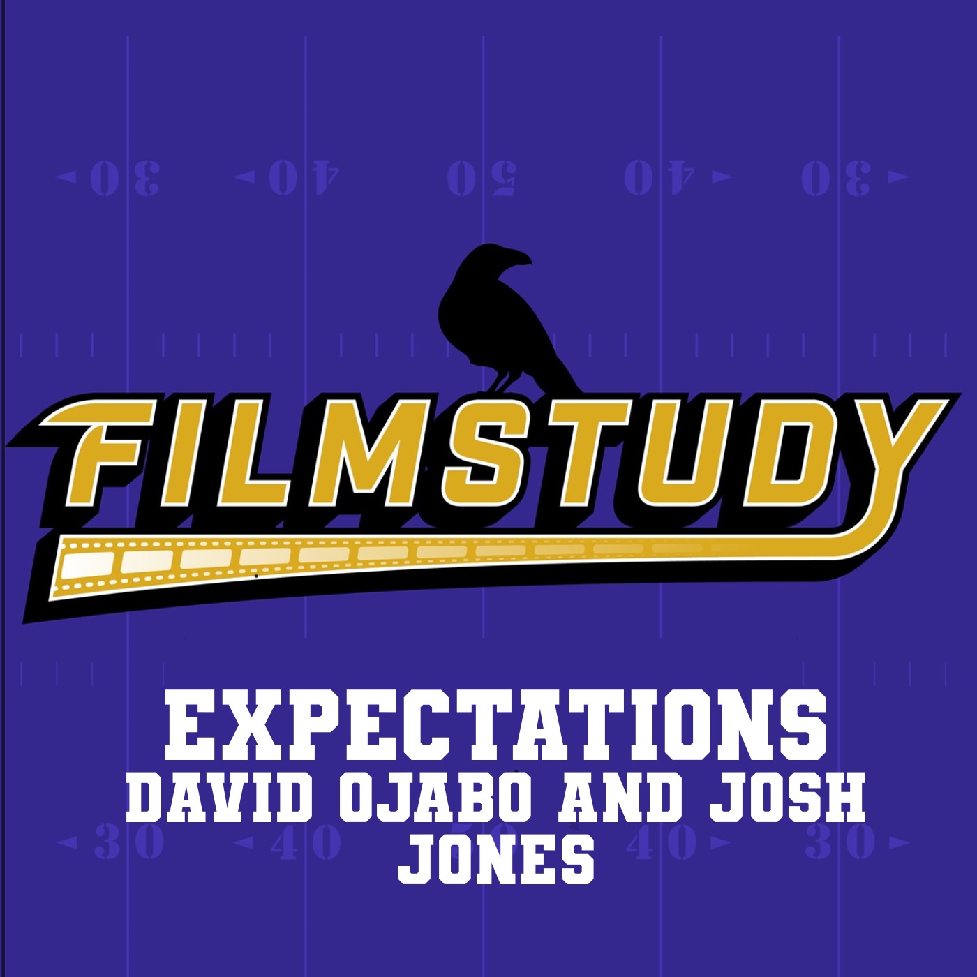 2024 Expectations: David Ojabo and Josh Jones episode artwork