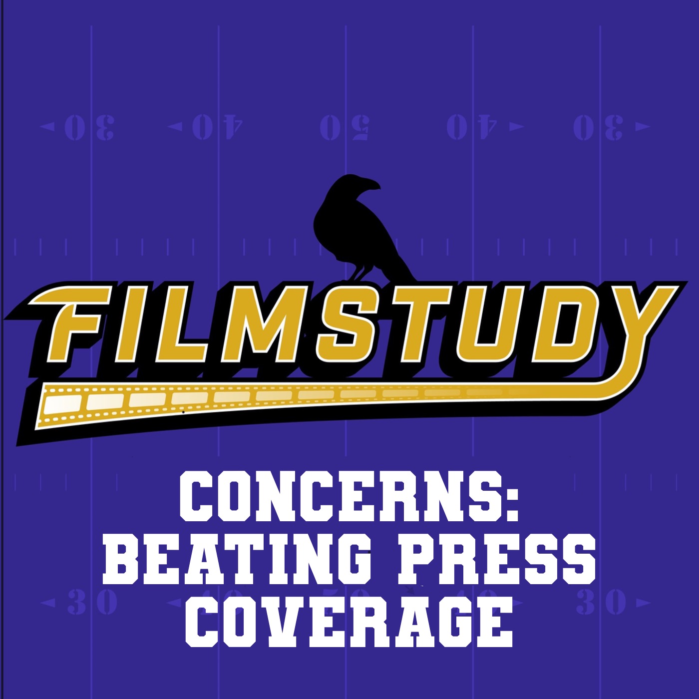 2024 Concerns: Beating Press Coverage episode artwork