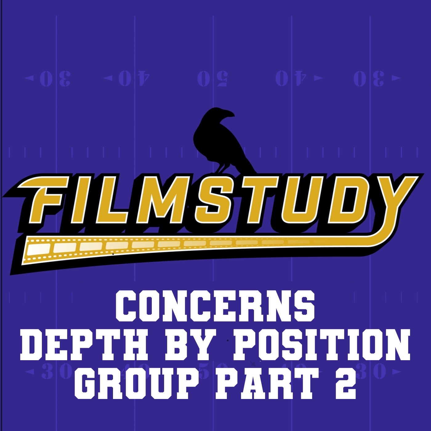 2024 Concerns Depth by Position Group Part 2 episode artwork